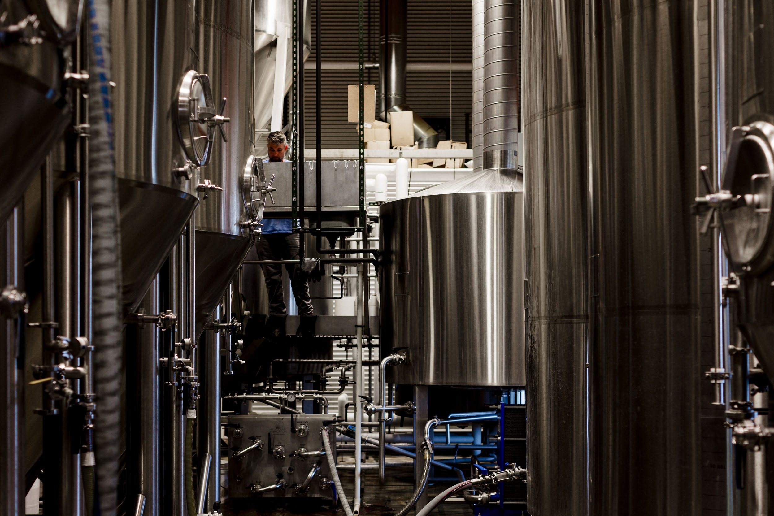 Logboat brewer making beer