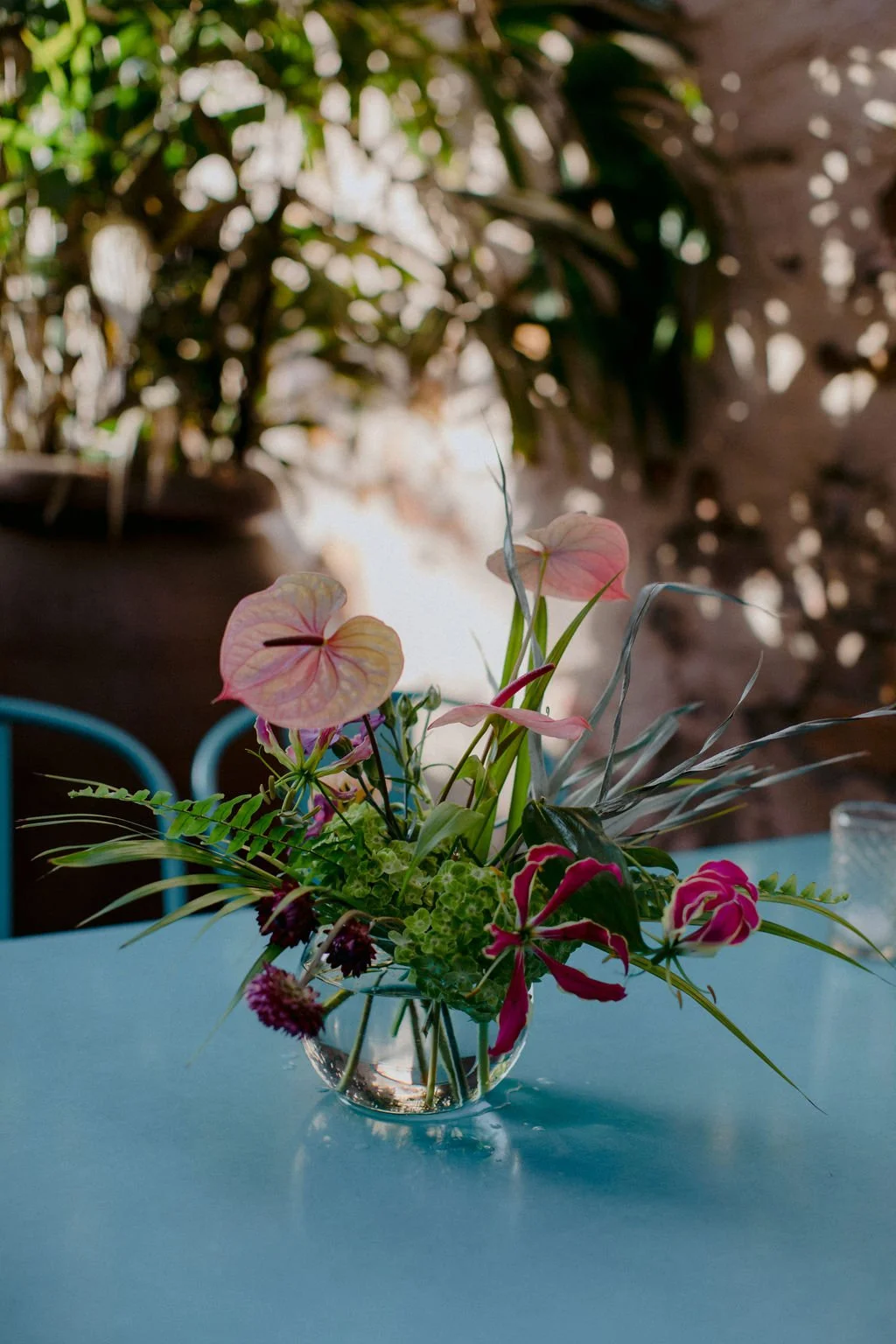 pink and burgundy flowers
