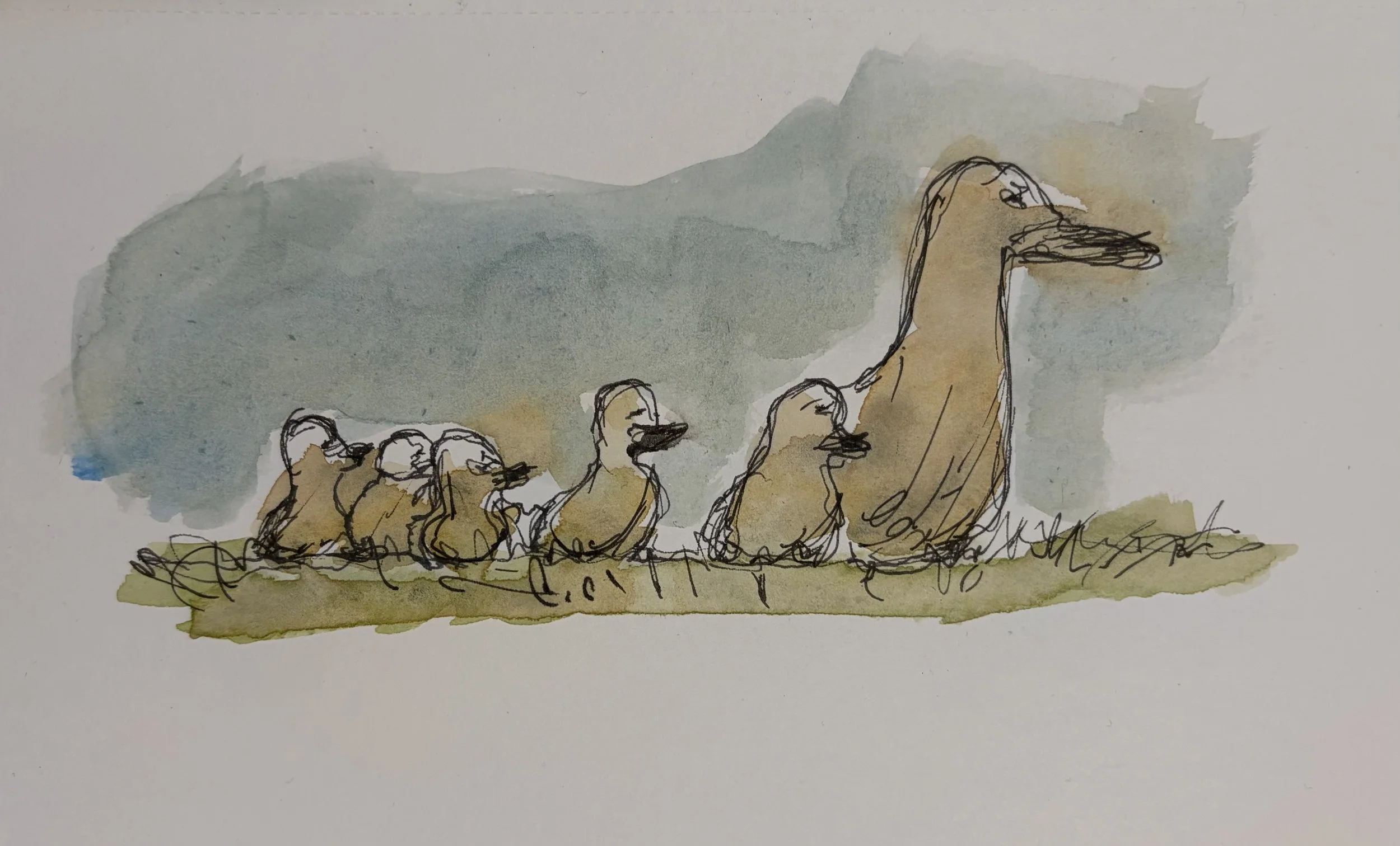 Why Do You Want Followers?