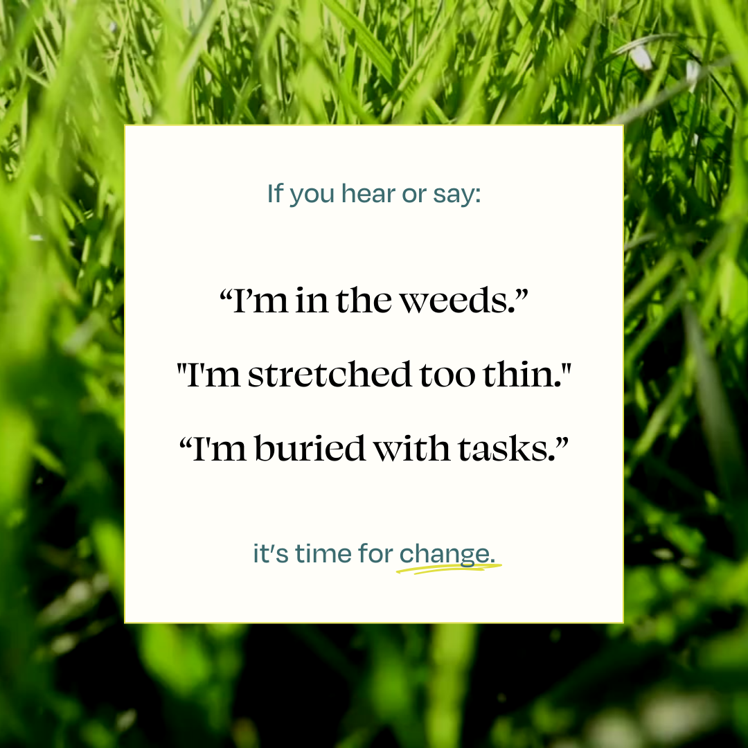 For leaders ‘in the weeds’