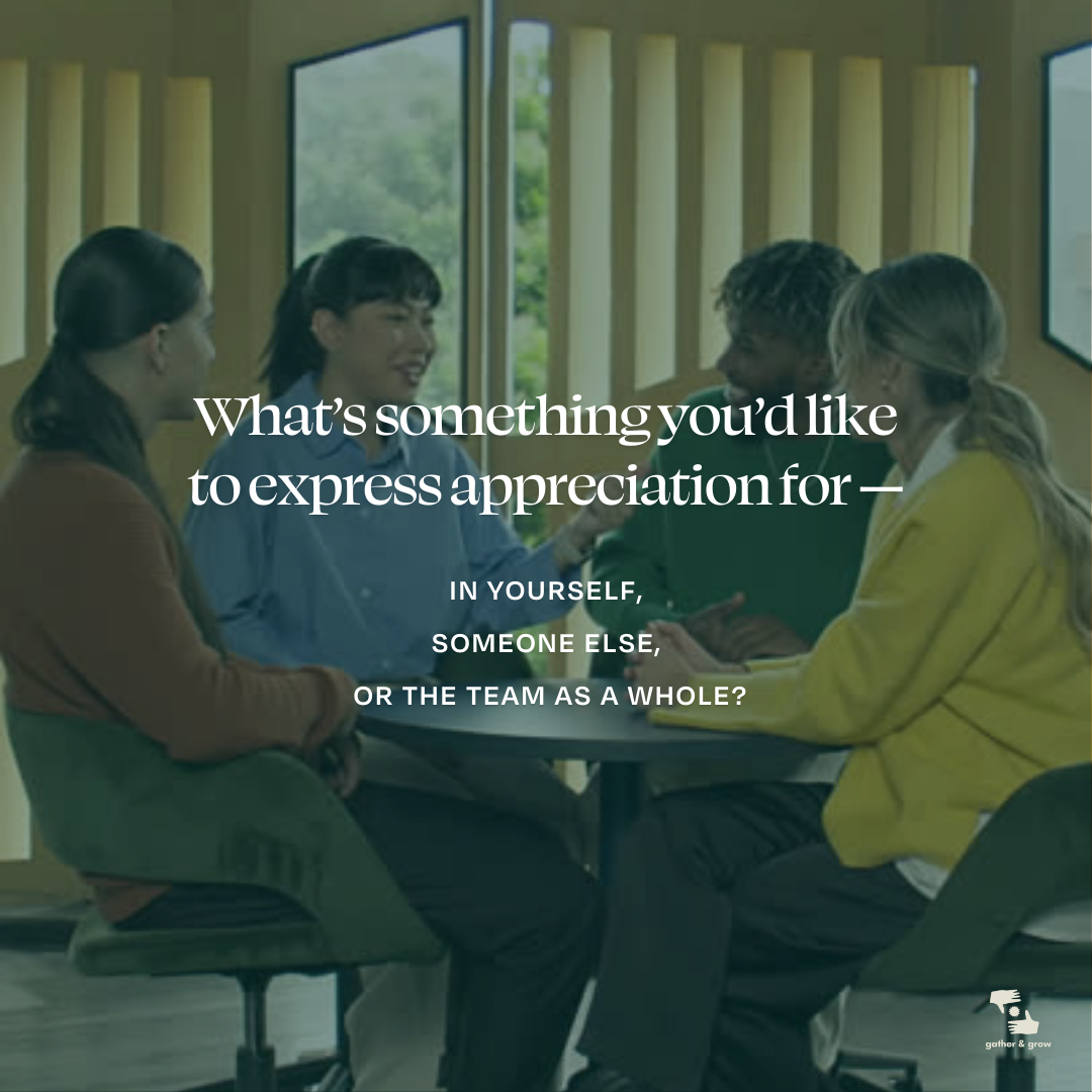 Reel Twenty Four.png