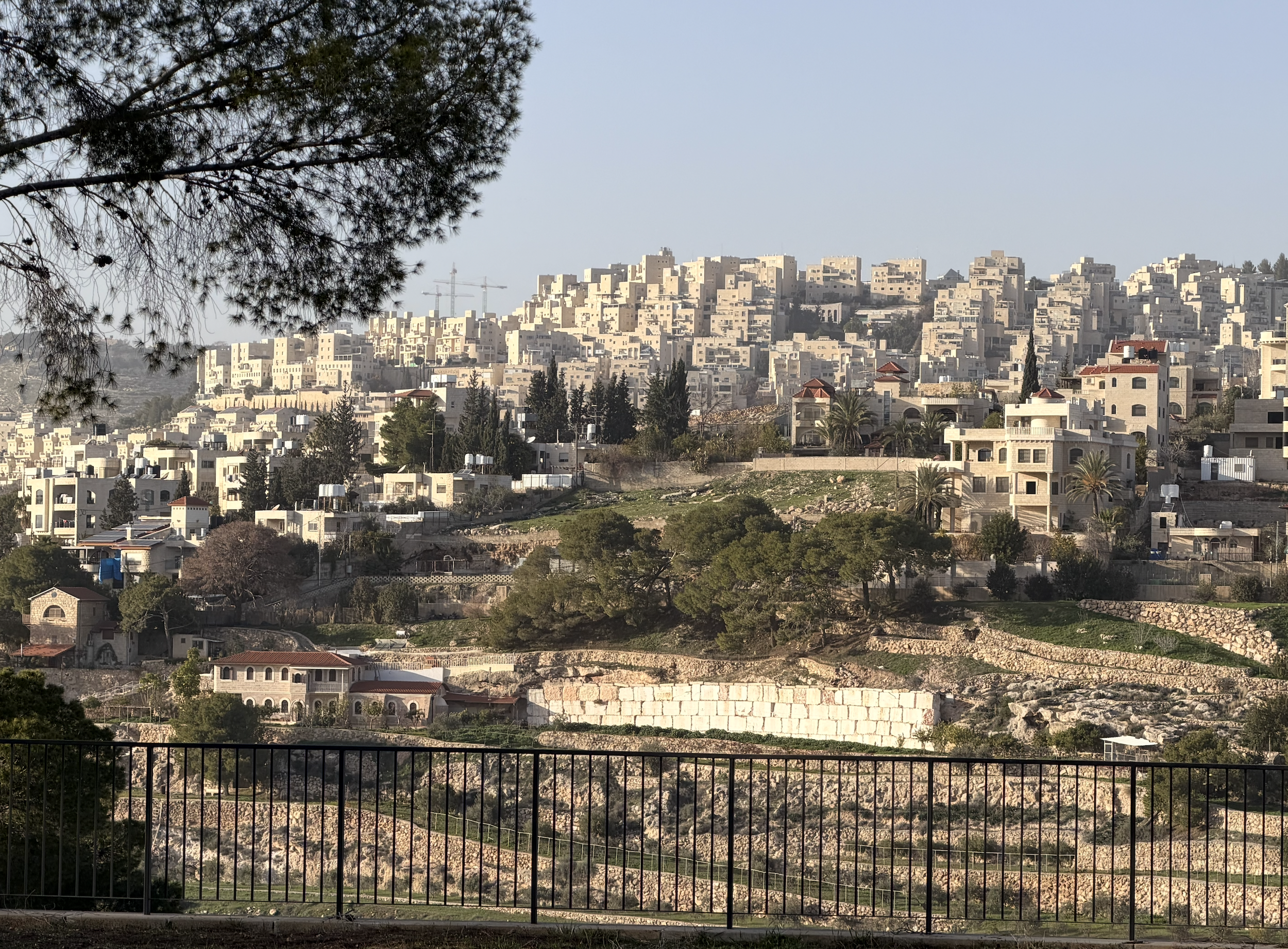 Screenshot 2026-01-26 at 3.42.28 PM.png