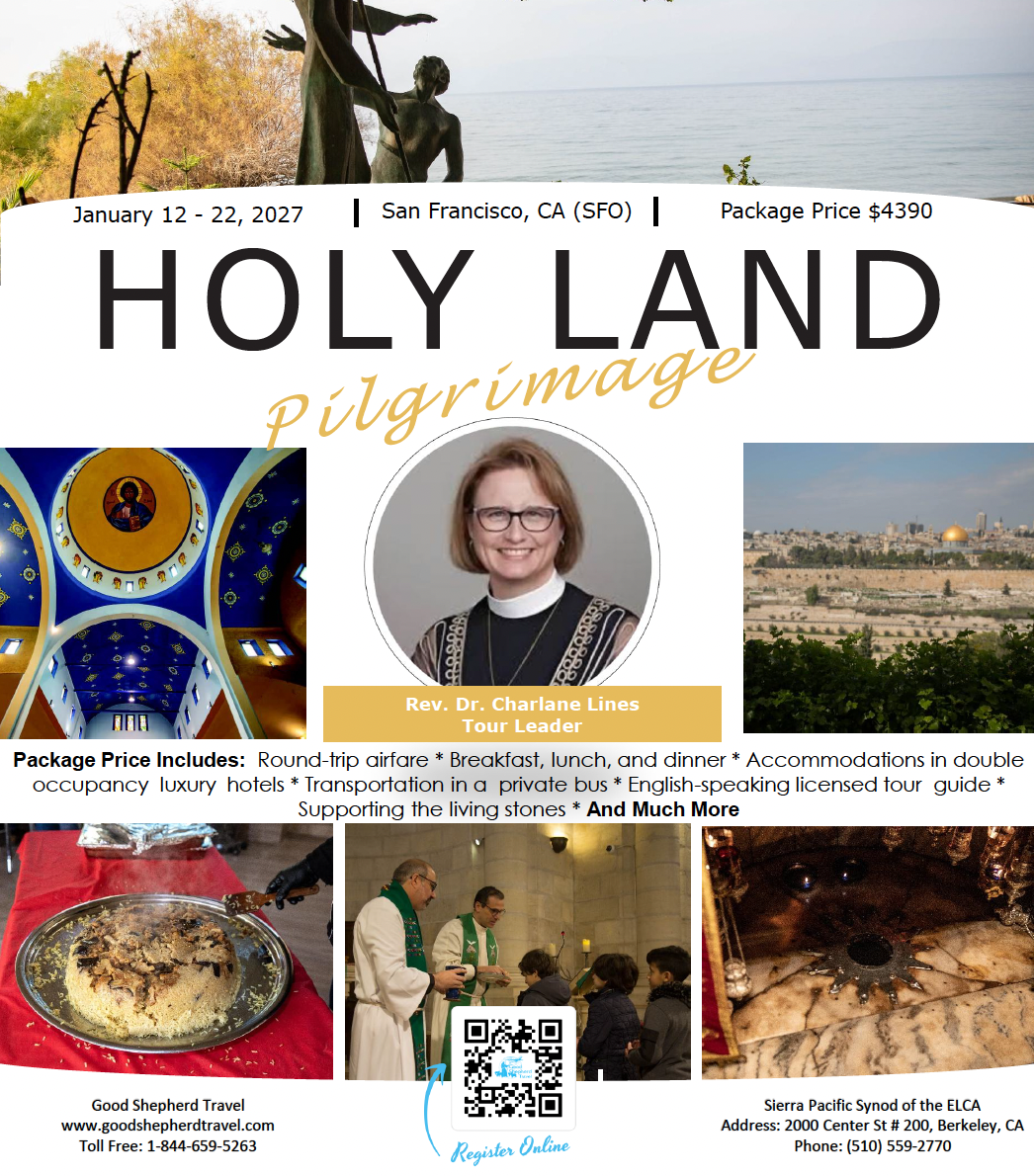 Holy Land Solidarity Trip