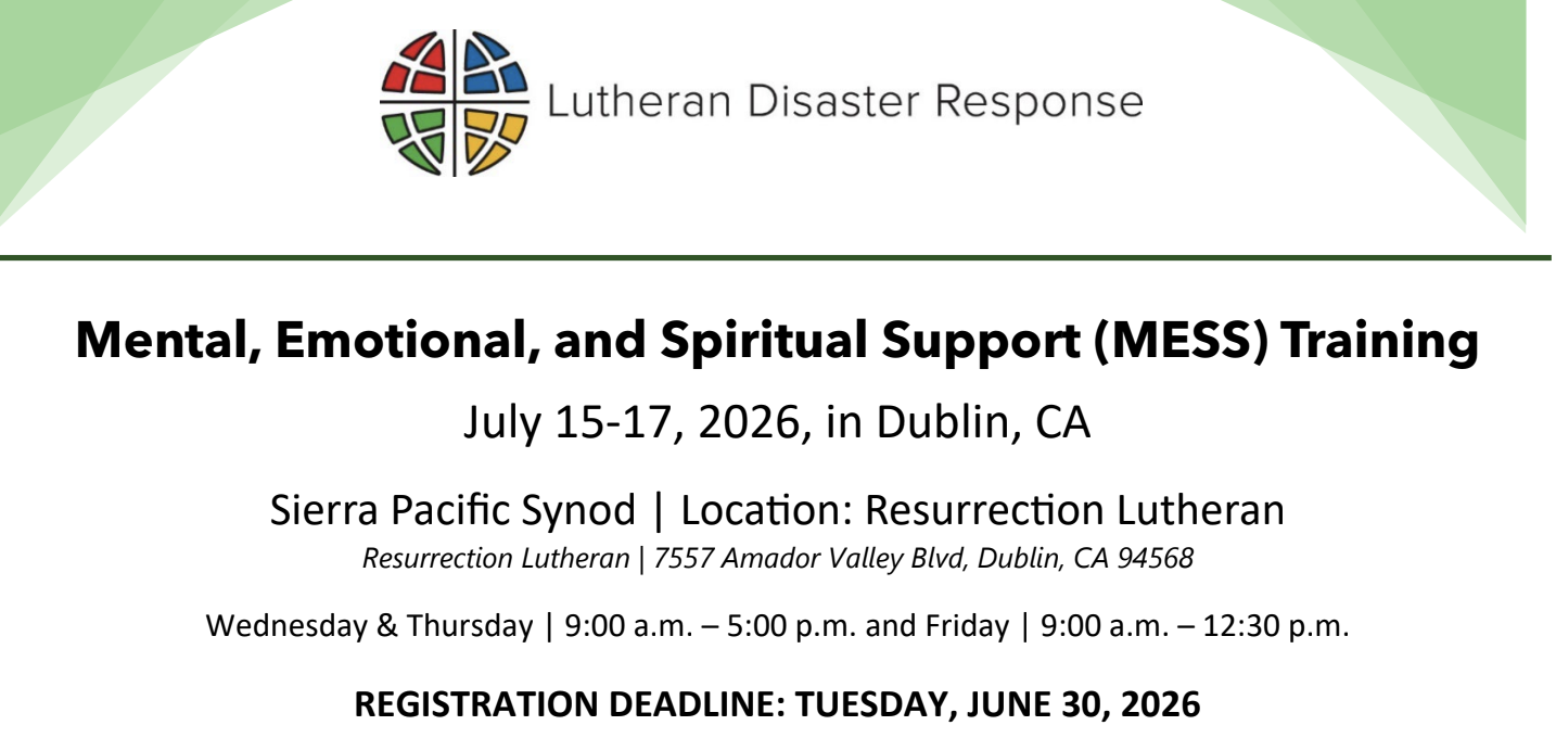 Mental, Emotional, and Spiritual Support (MESS) Training
