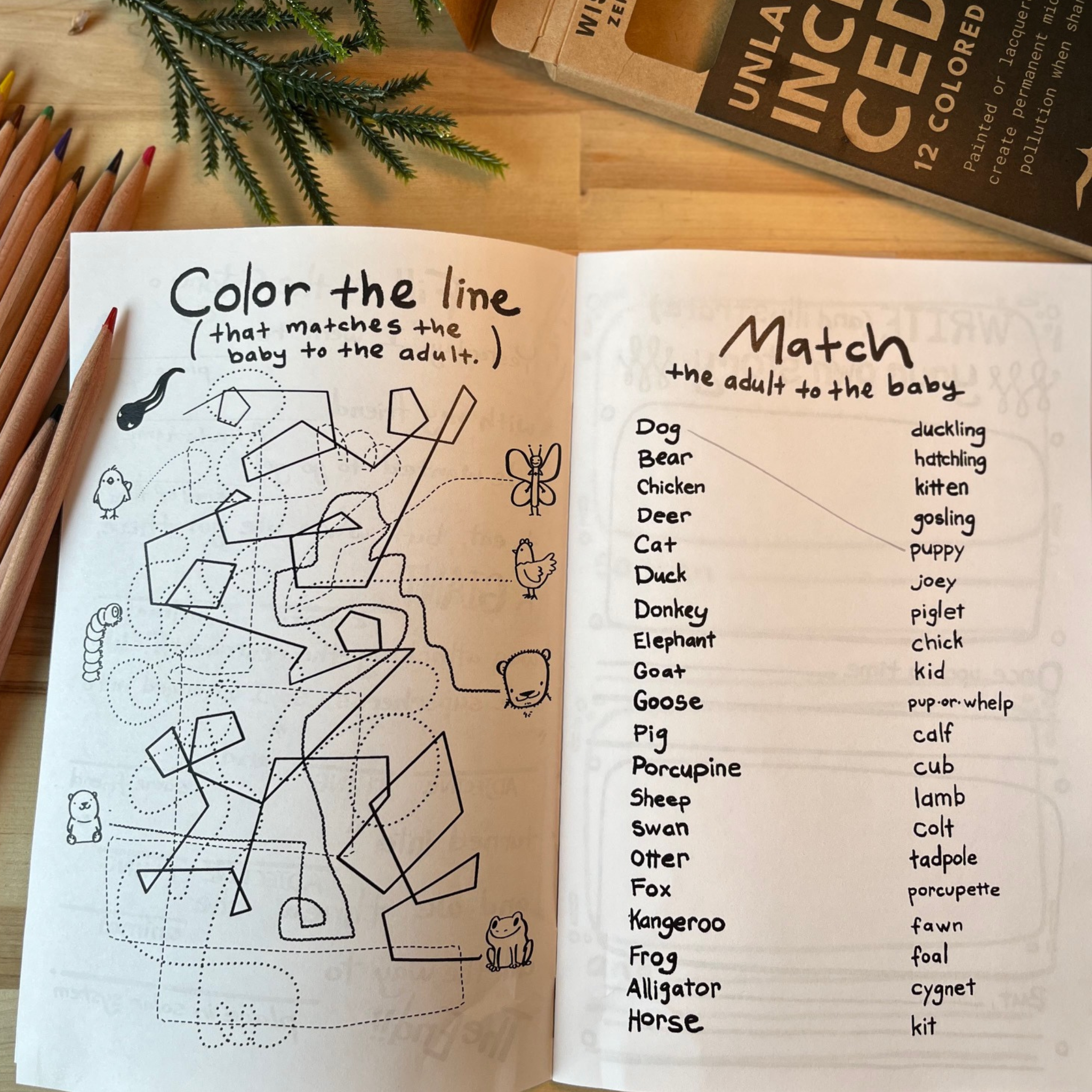 BUSY BOOK COLOR THE LINE.png