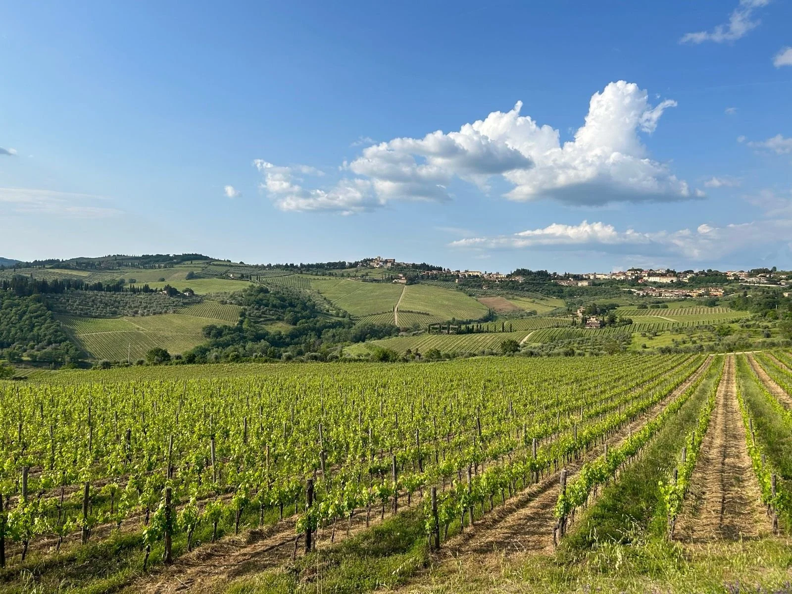 Tuscane Octobre 2026