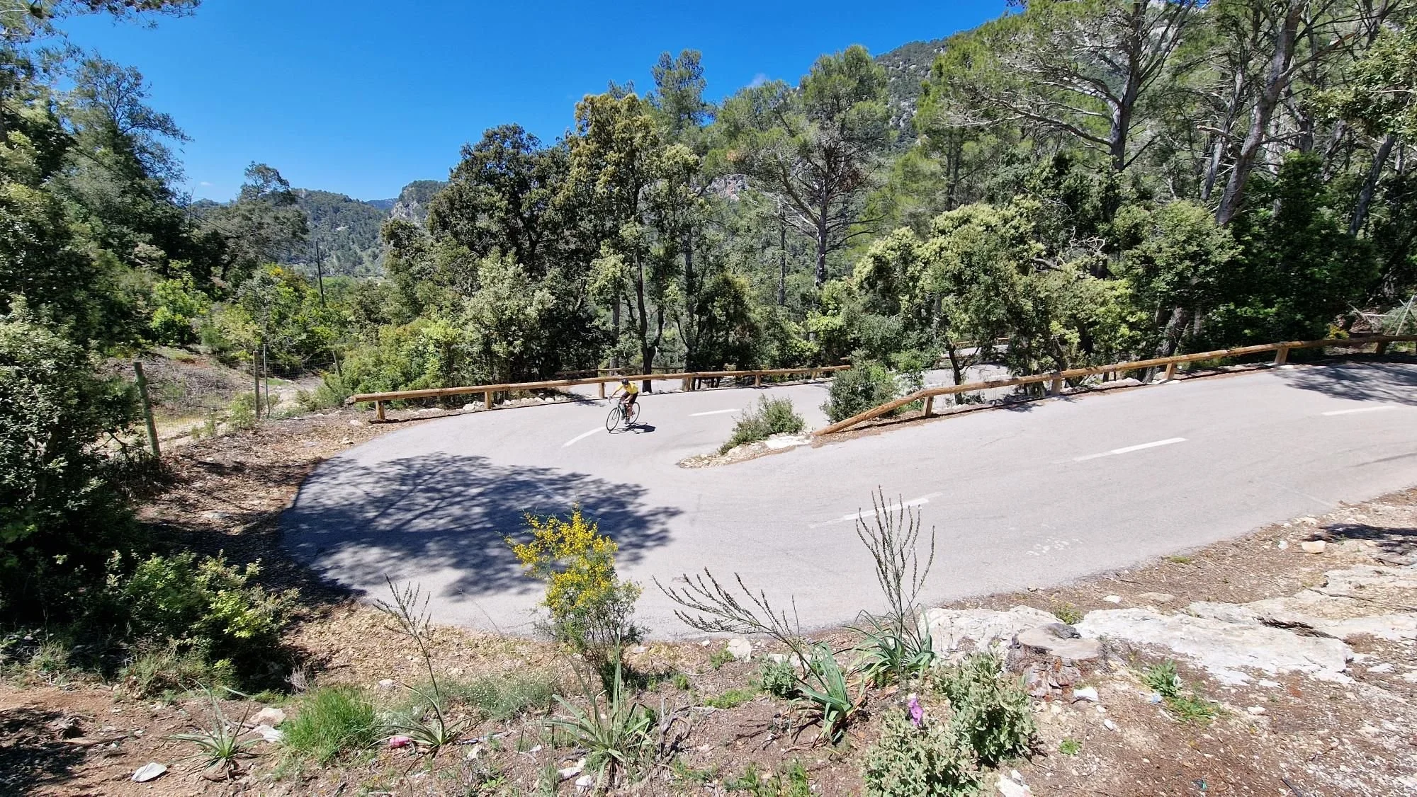 Cyclist mallorca climb
