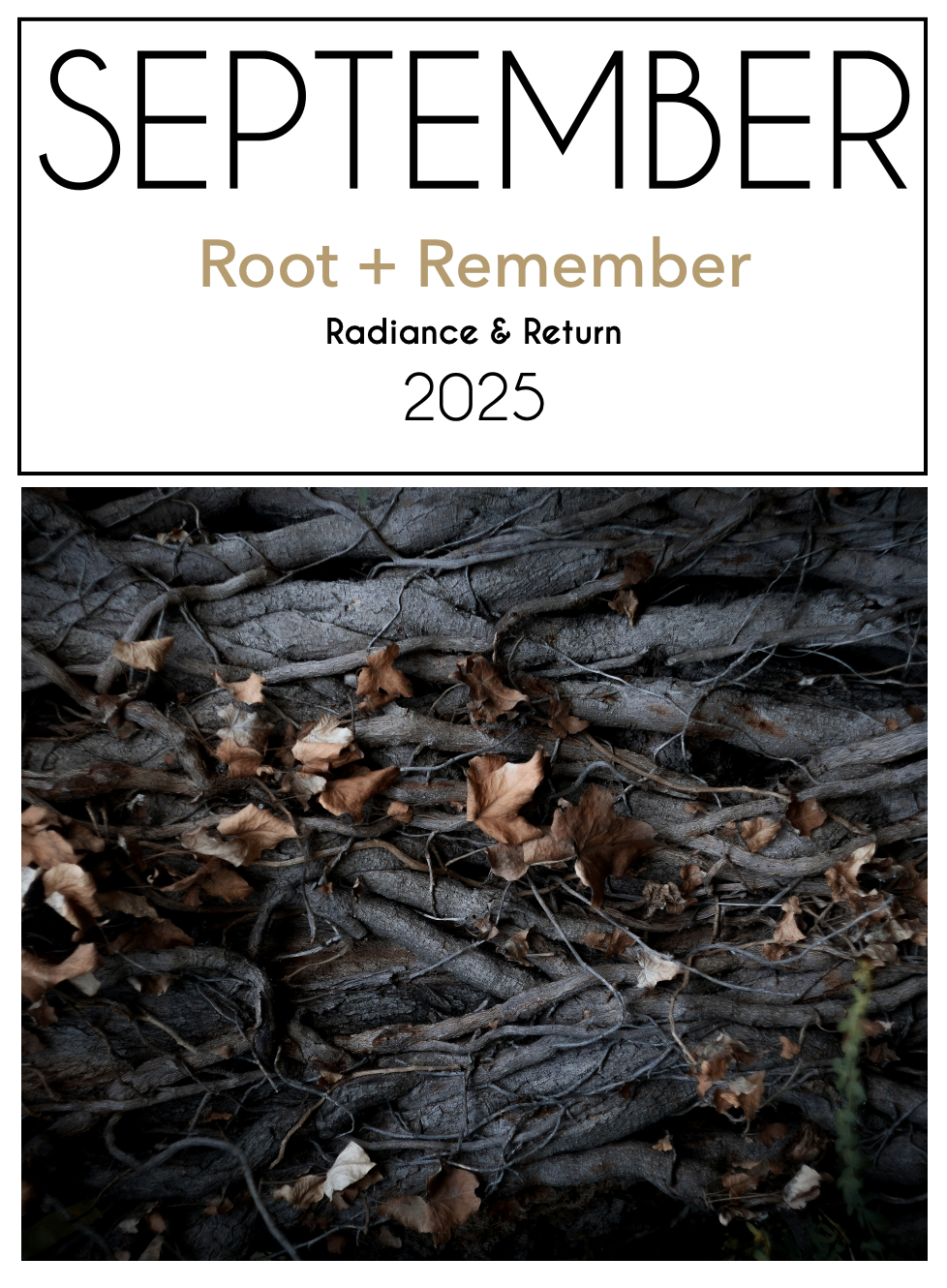 The Soulful Home Series  September 2025 - Root + Remember