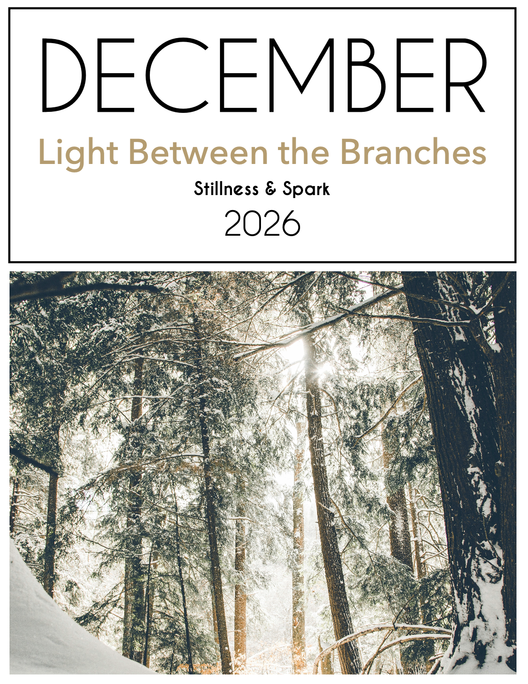 Screenshot 2026-01-12 at 11.53.11 AM.png