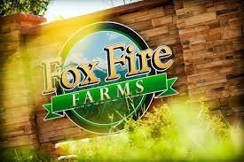 Ben Gibson Duo at Foxfire Farms