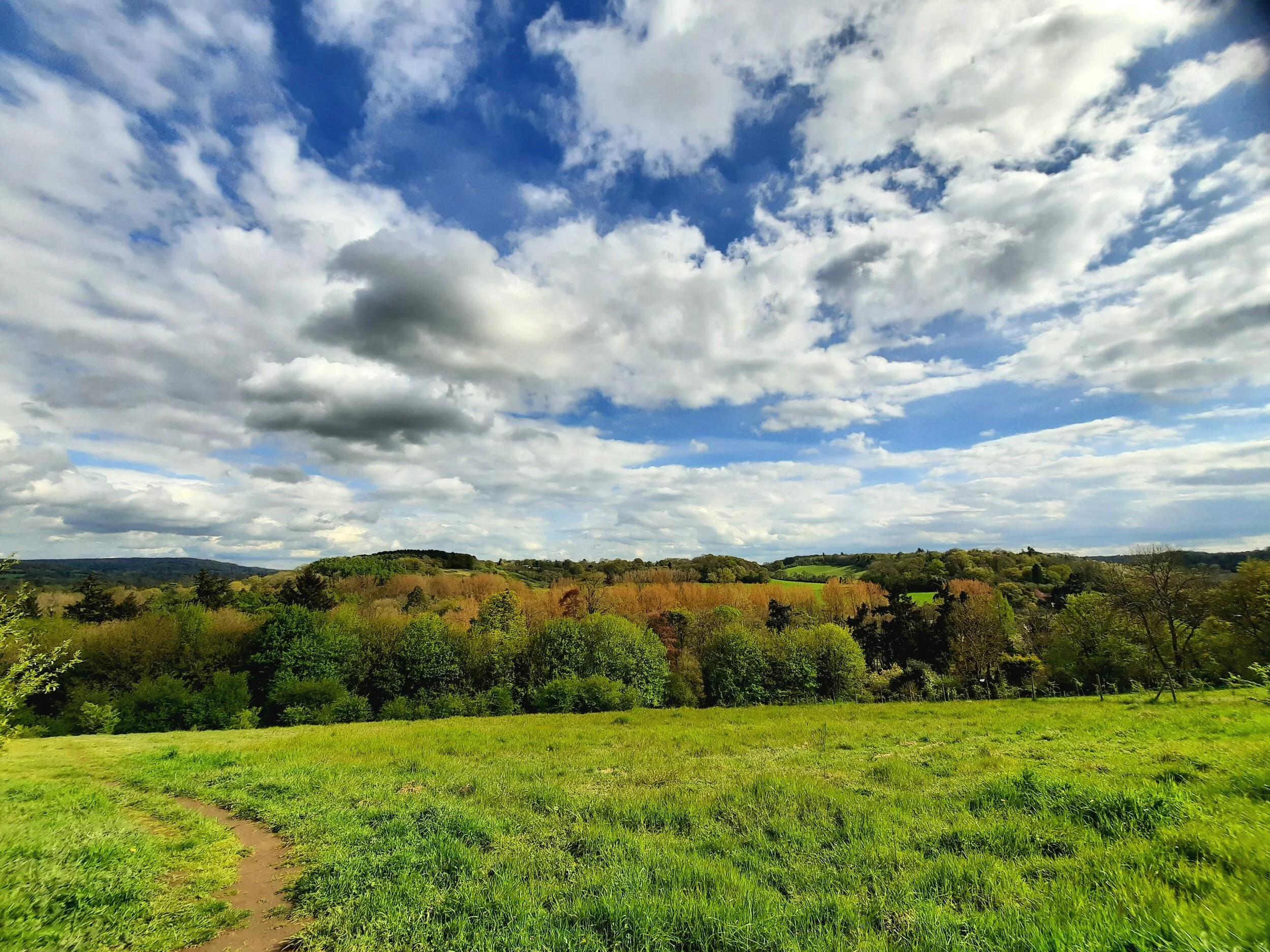 Organising Blaze Trails in the Surrey Hills