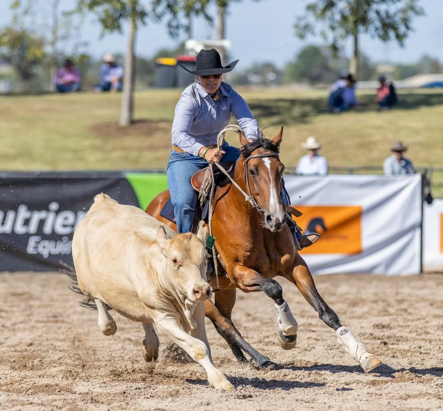 My girl 💕 

#justjoyce #smithfamilyhorses
📸 @brie_stanger_photography