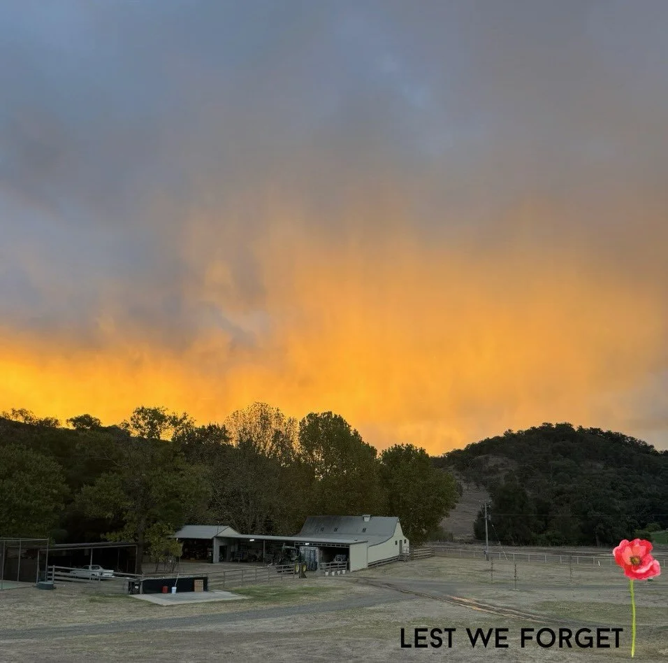 Lest We Forget&hellip;

At the going down of the sun and in the morning, we will  remember them.