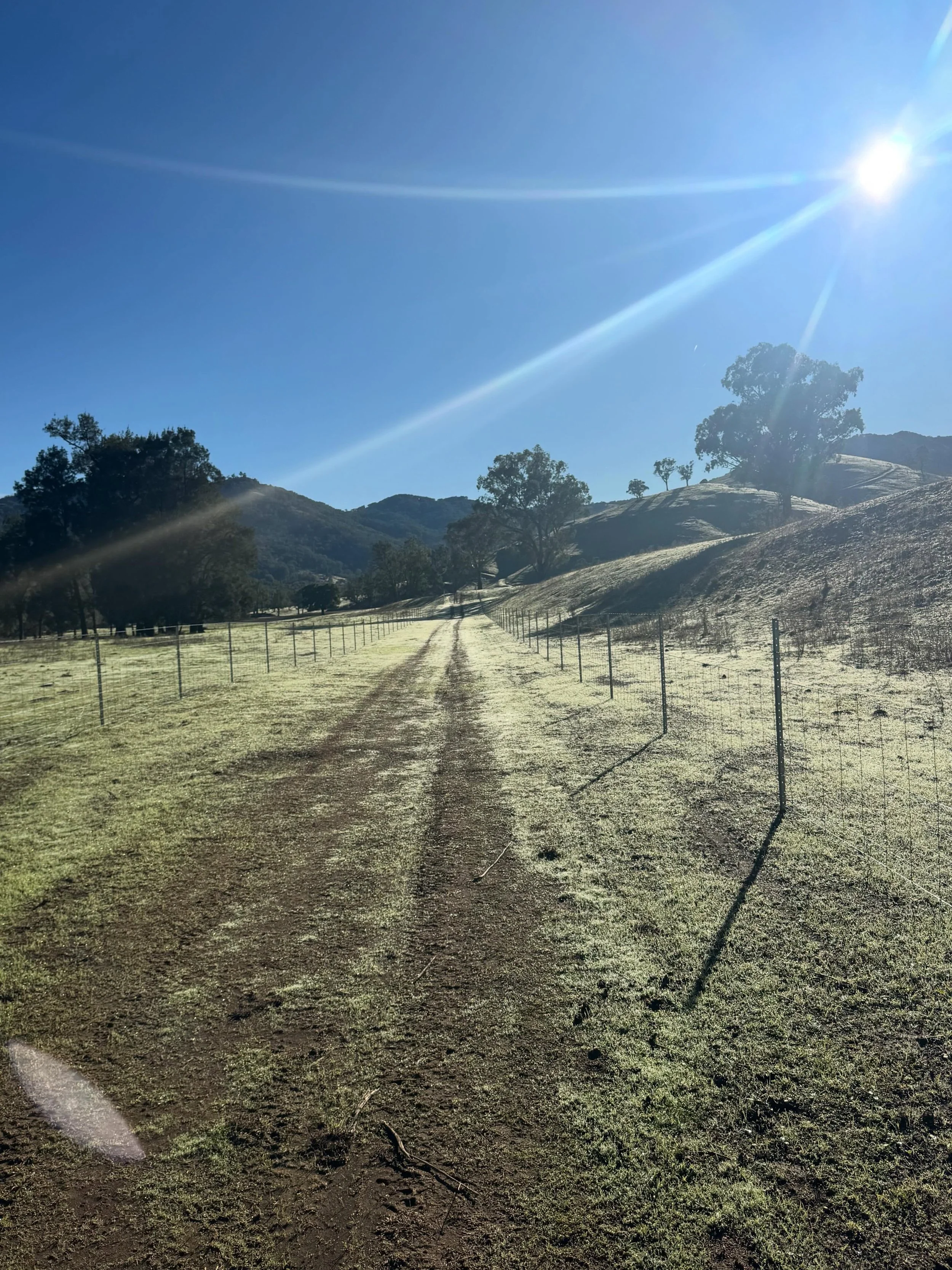 Running track this morning was on point. No headphones, no pram (although I did miss my cute little excuse to stop for a walk!), just me, my thoughts and some vitamin D.

I managed to stretch the distance out a little today. Still short in the scheme