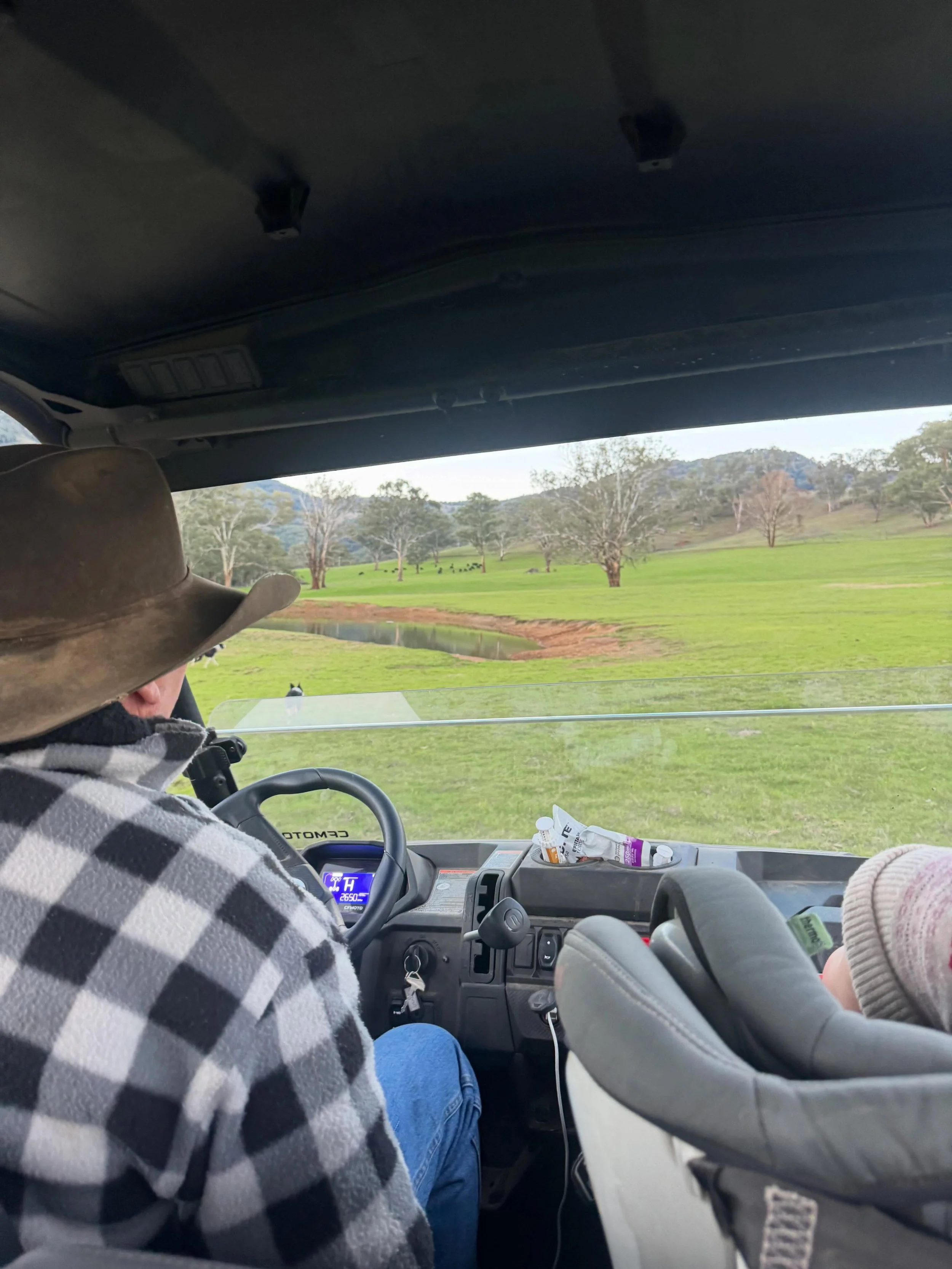 Gertie&rsquo;s absolute favourite thing to do is go in the buggy with Pop to do the dogs! To the extent she hears Pop&rsquo;s bike coming (he then swaps into my buggy) and she gets so excited, giggling and waving her hands and starts heading for the 