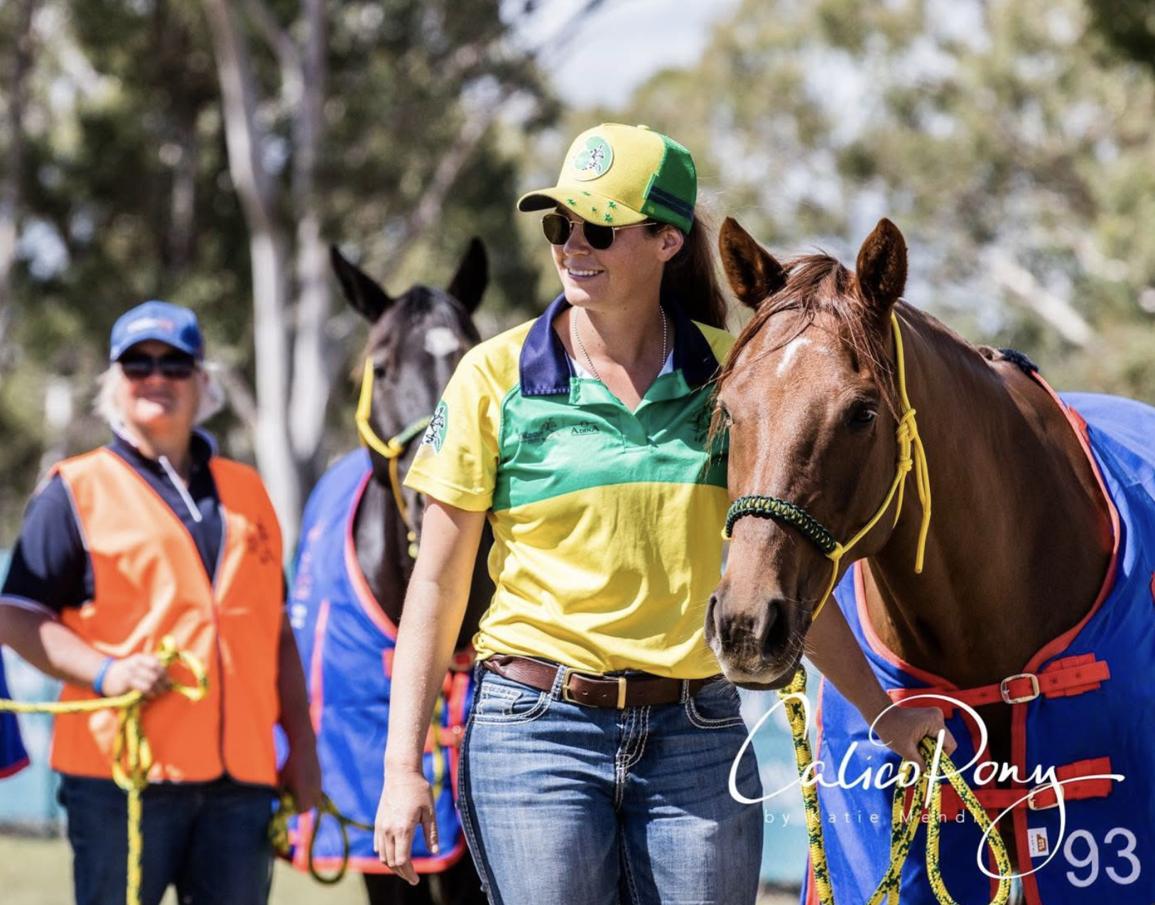 Screenshot 2025-01-19 at 5.50.13 PM.png