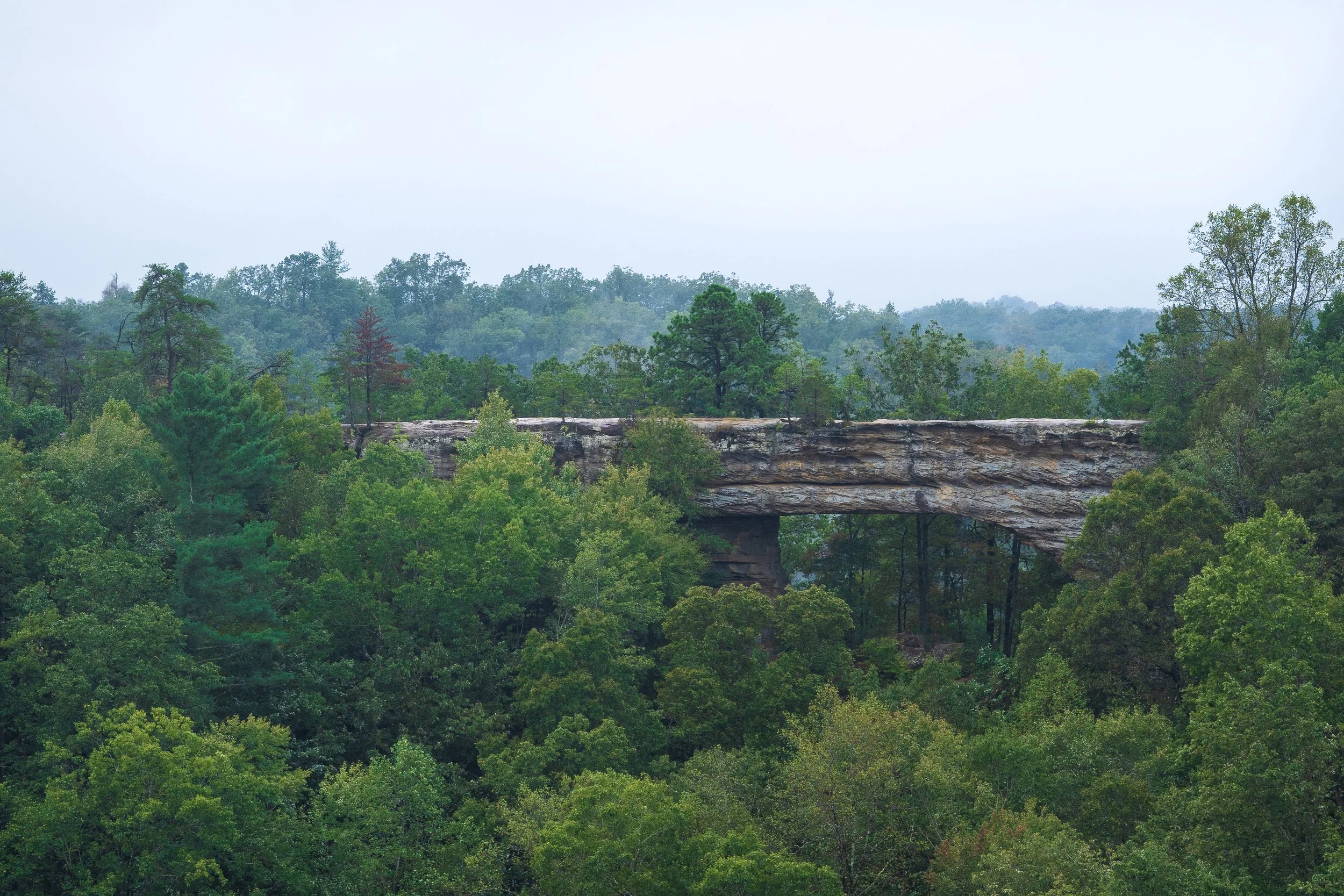 DSC09327-Edit.jpg