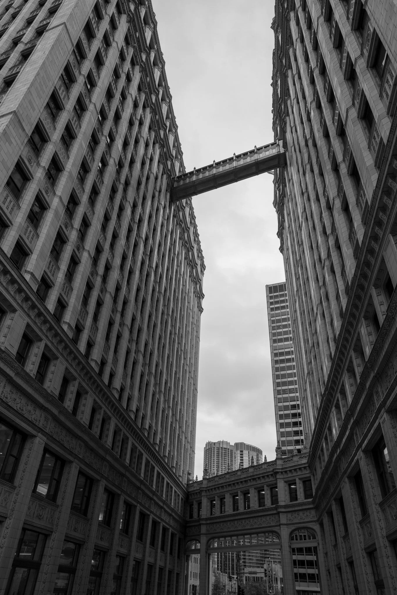 DSC09086.jpg