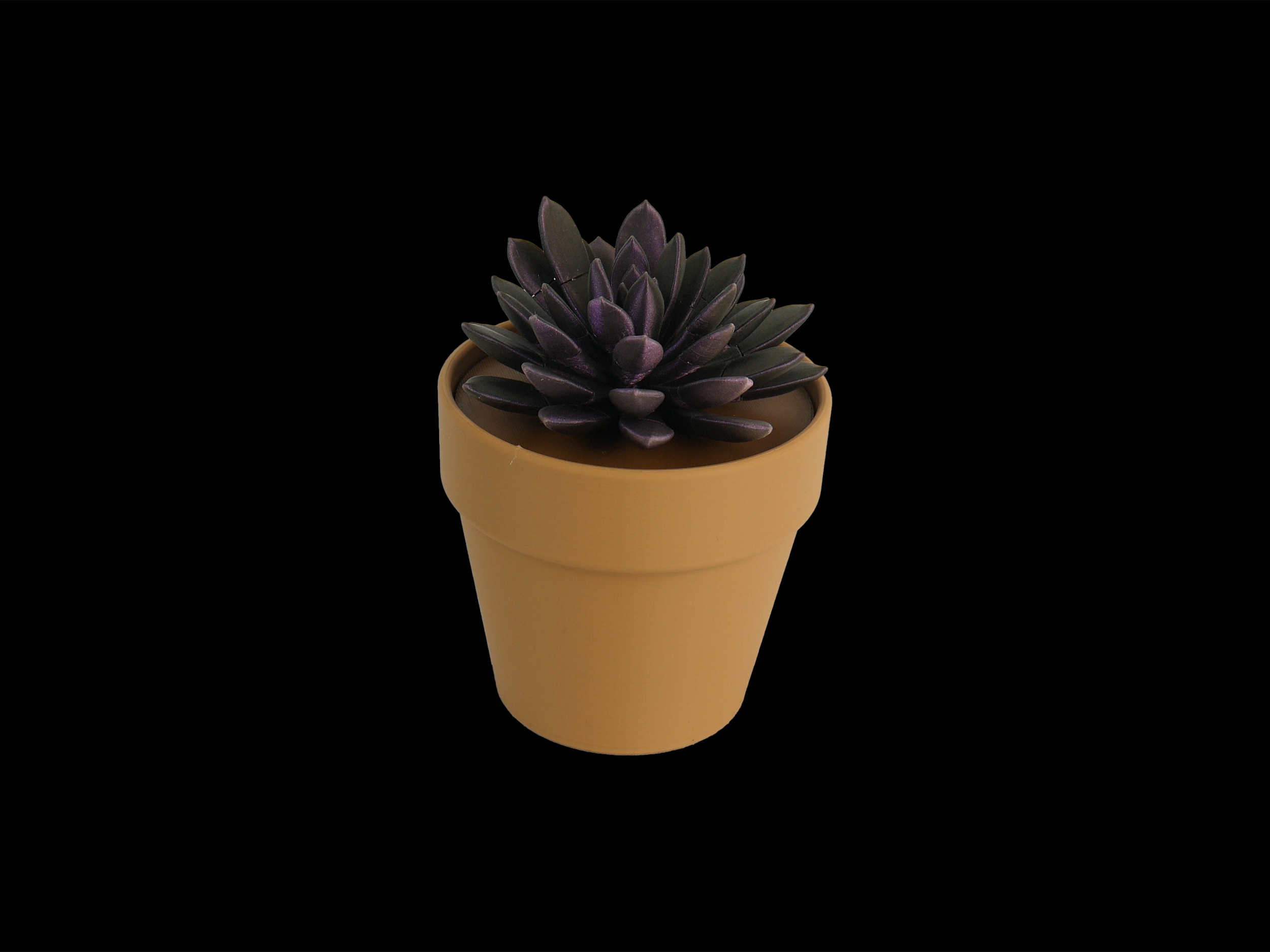 Succulent01.png