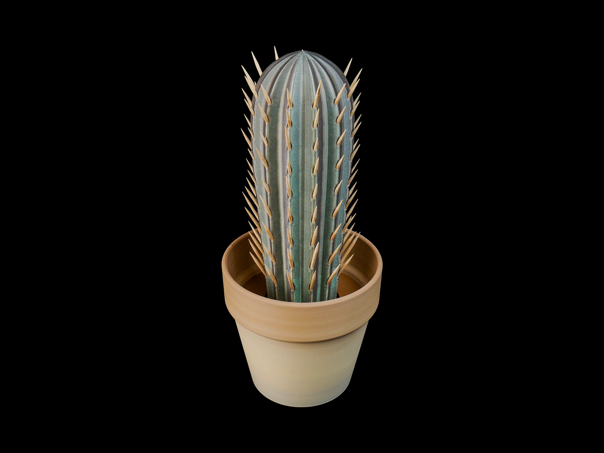 Cactus Toothpick Holder