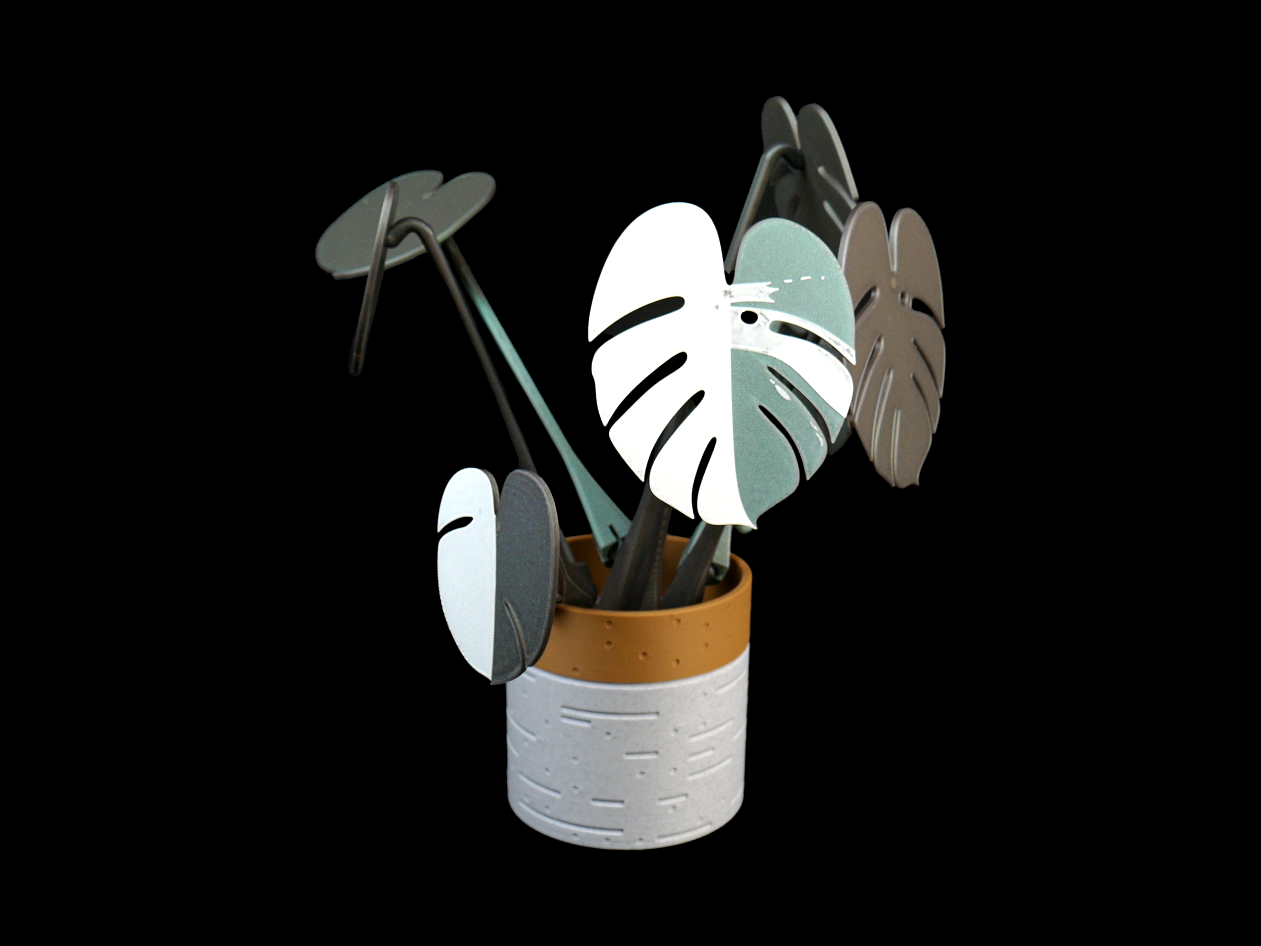 MonsteraMarblePot04.png