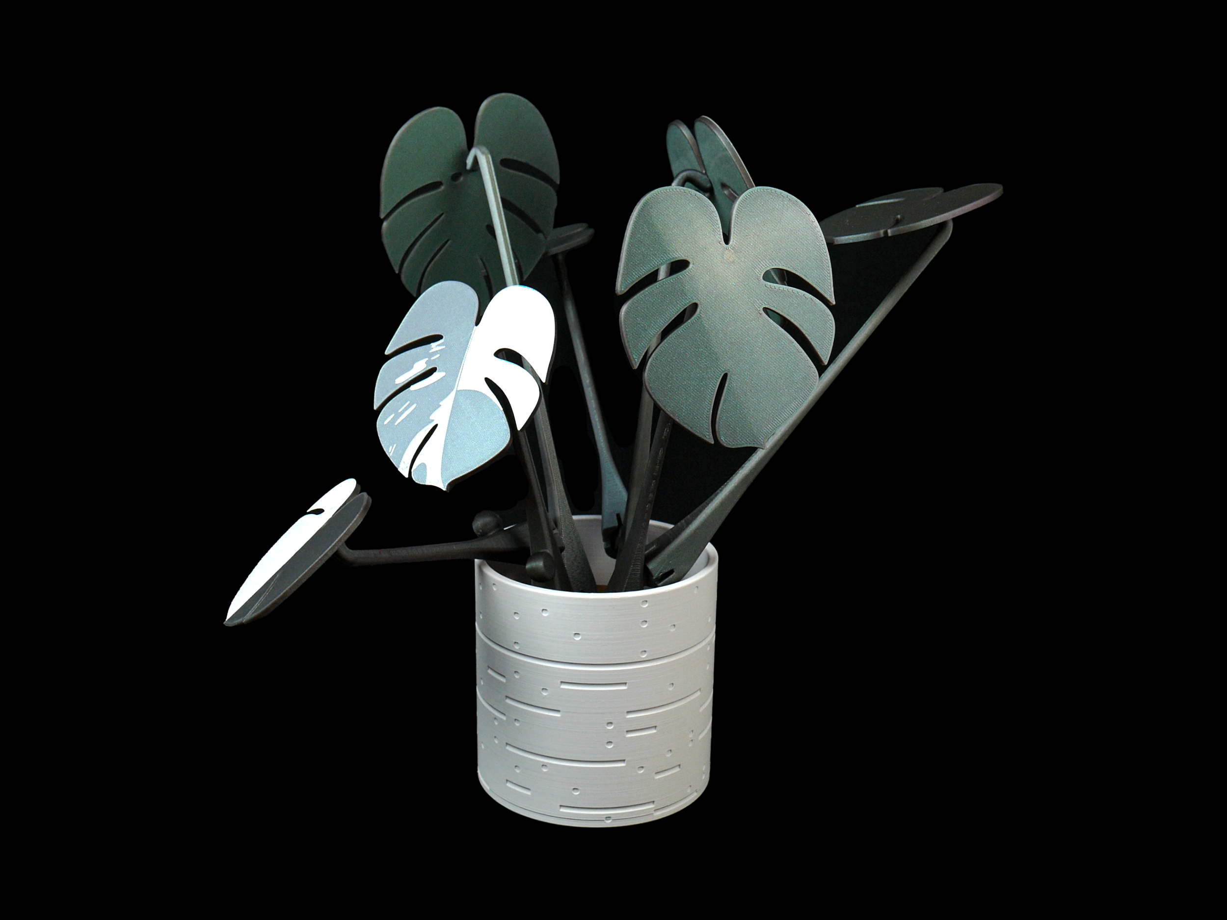 MonsteraBrownPot01.png