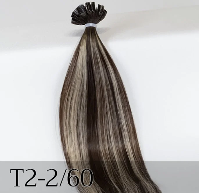 T2-2/60  Dark Brown/Platinum blonde Highlights - Dark Brown roots