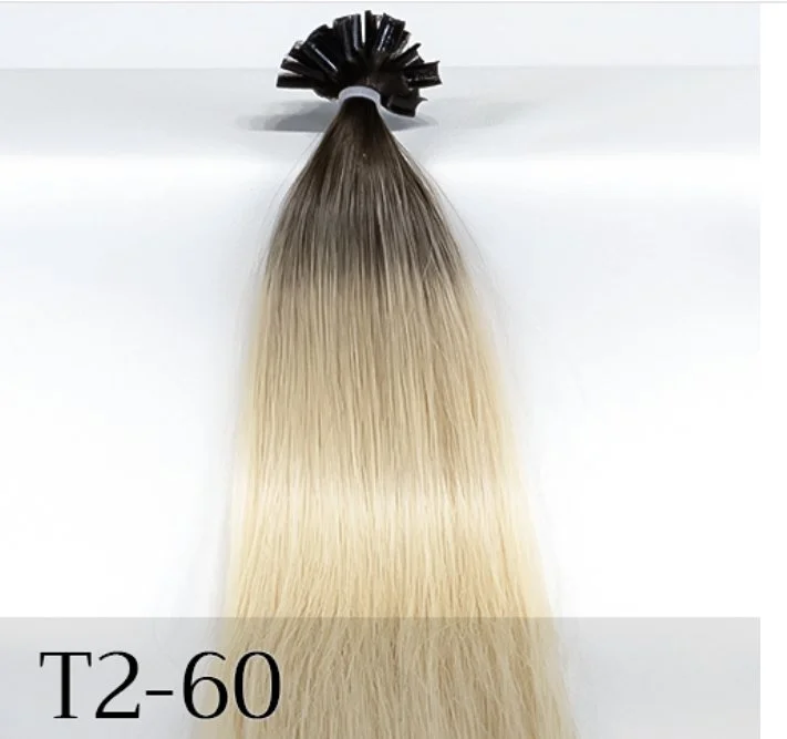 T2-60 Pale Blonde with Dark Brown Roots