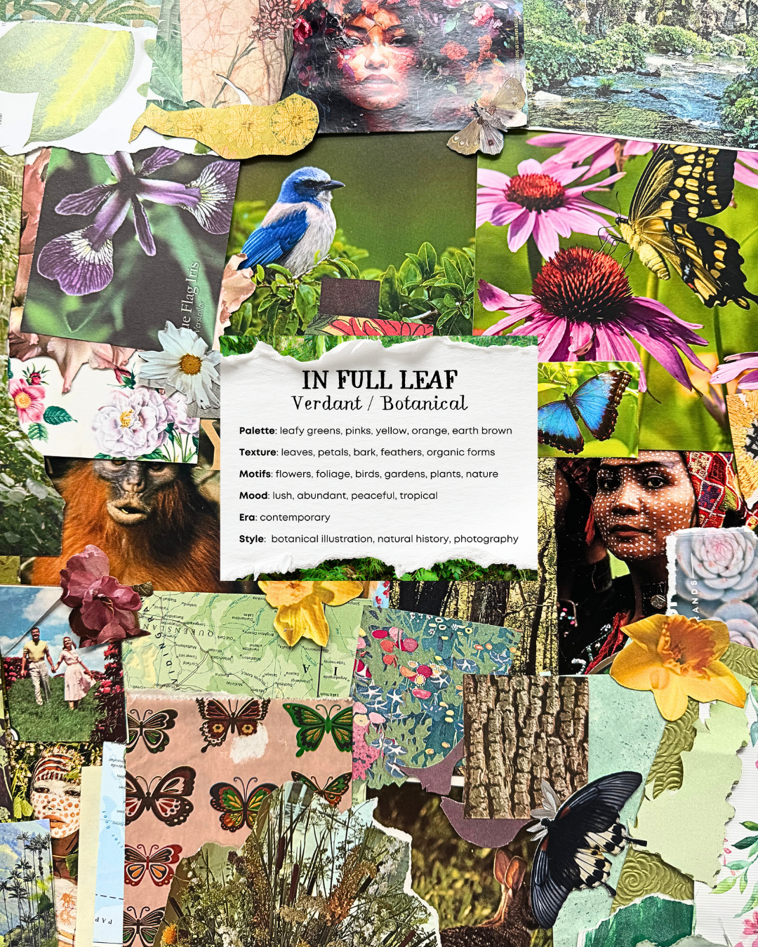 InFullLeaf.png