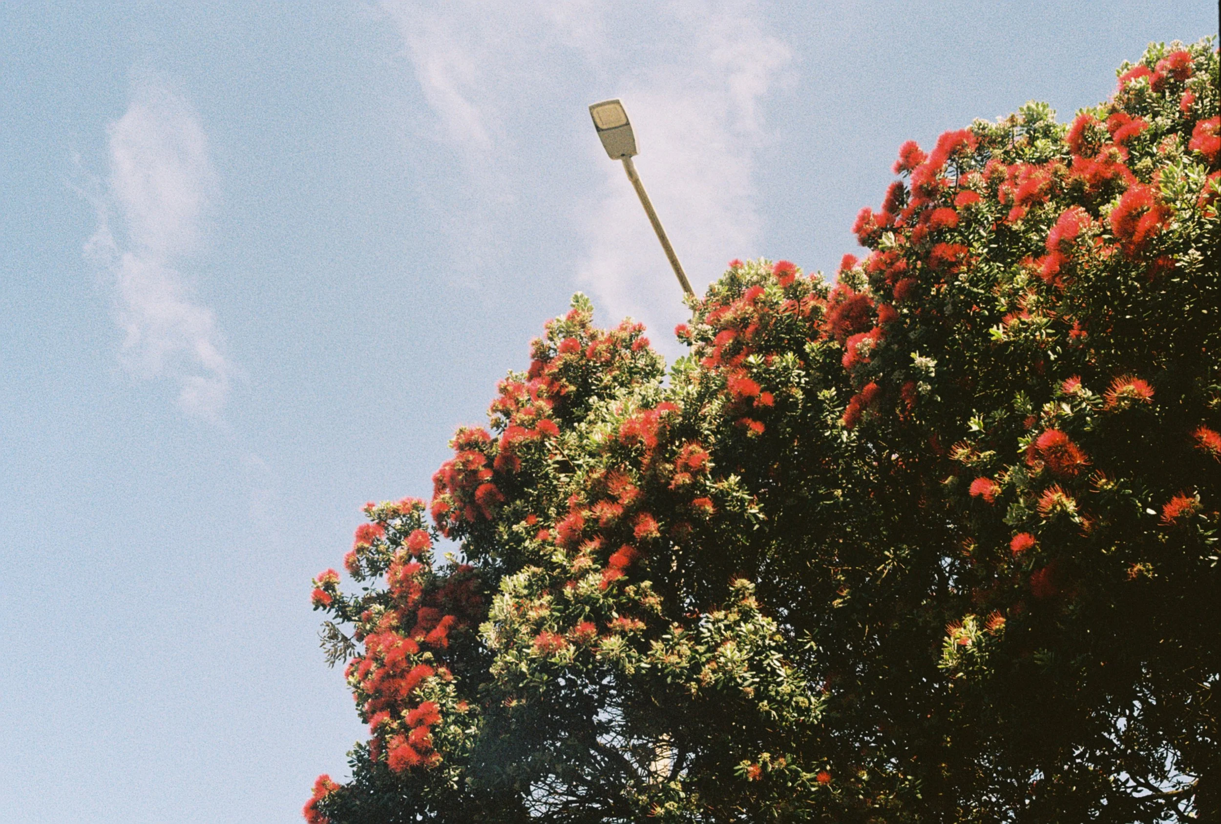 R1-09455-0008.JPG