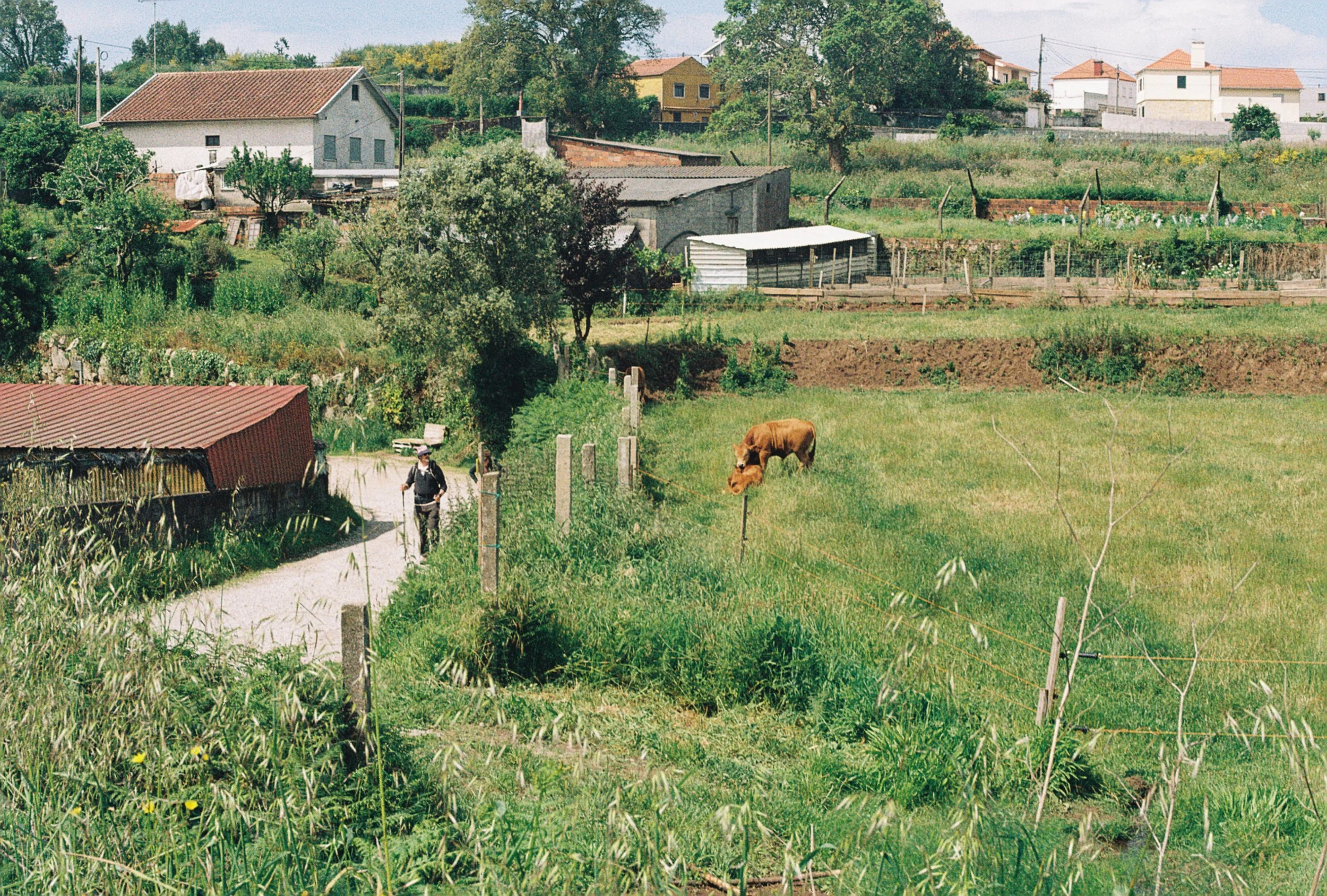 R1-09455-0034.JPG