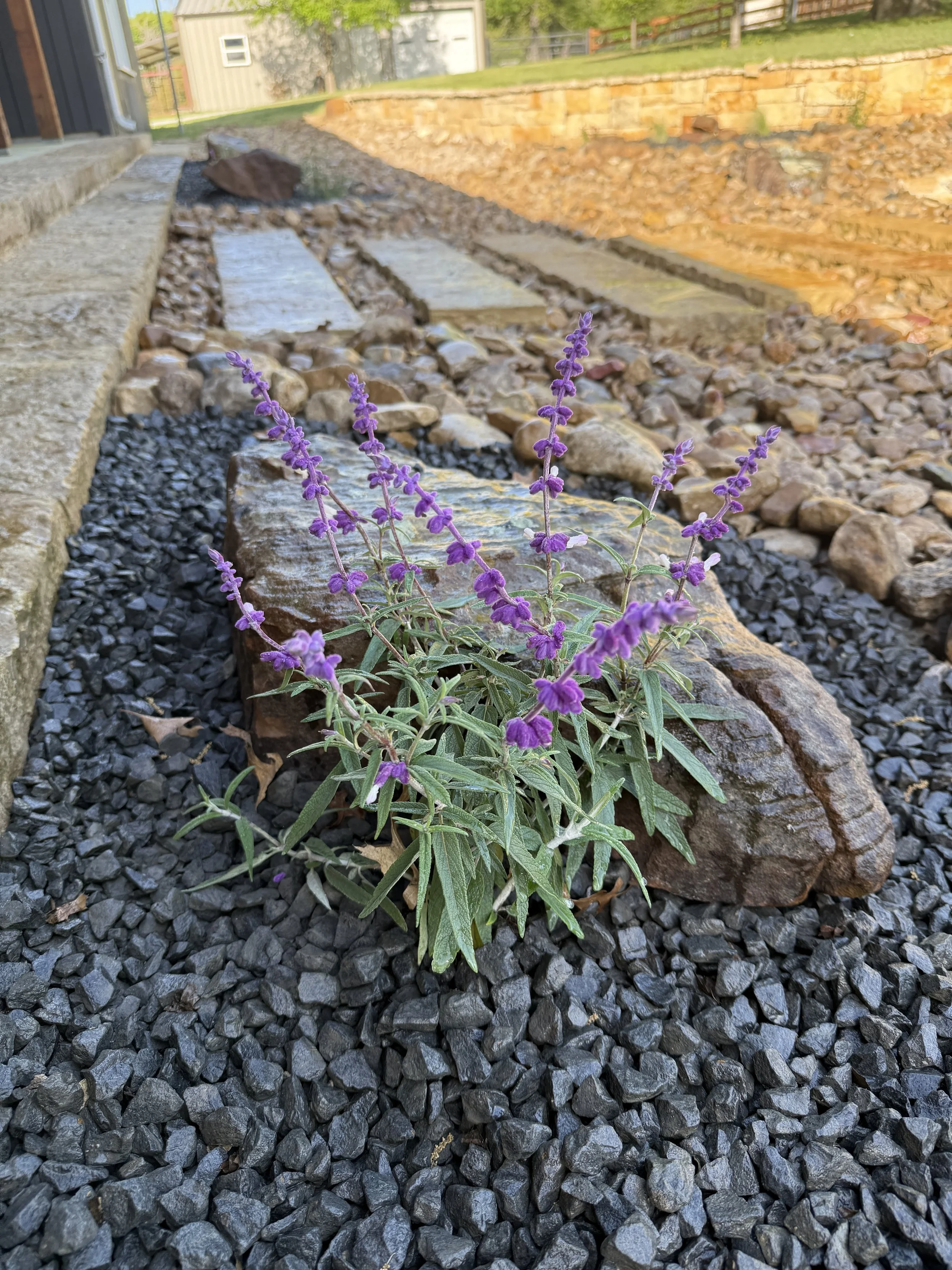 Photo Apr 11 2025, 9 33 21 AM (1).jpg