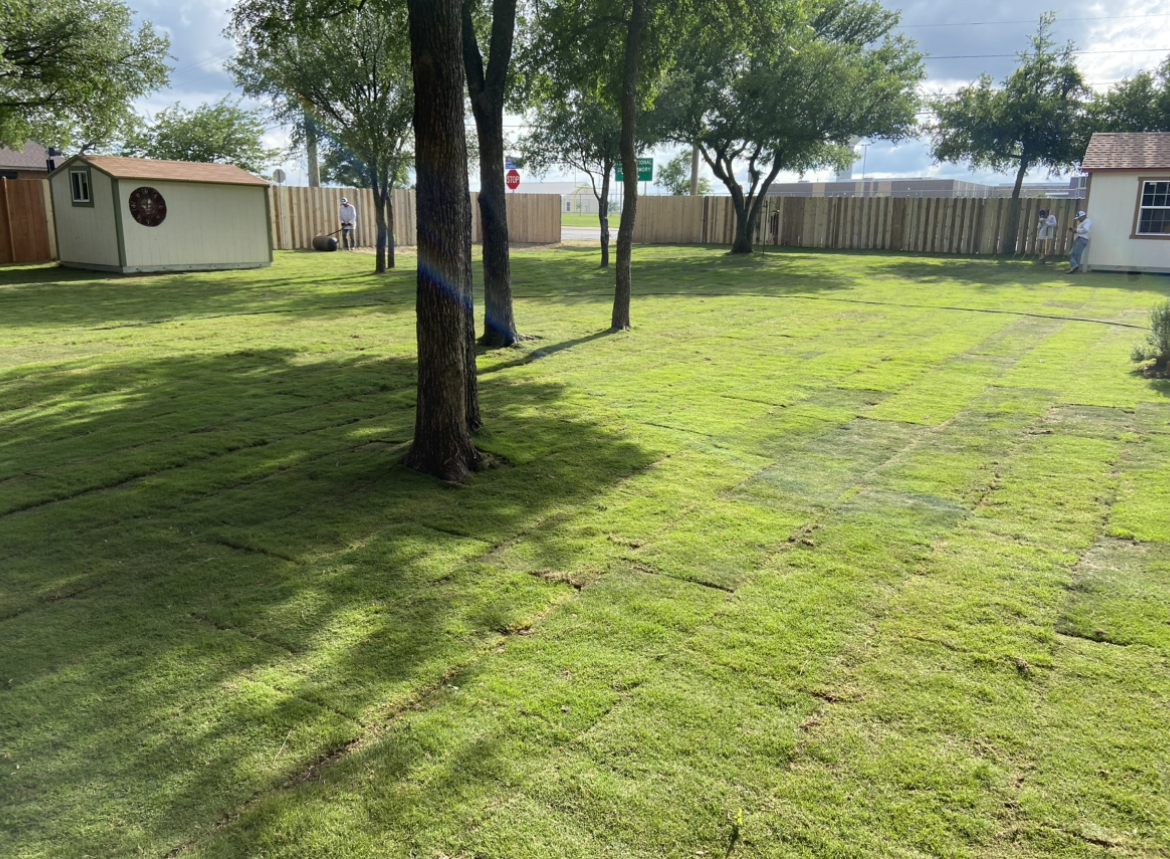 A backyard with grass and several trees, with two people in white shirts near the fence on either side of the yard, and a small shed on the left side.