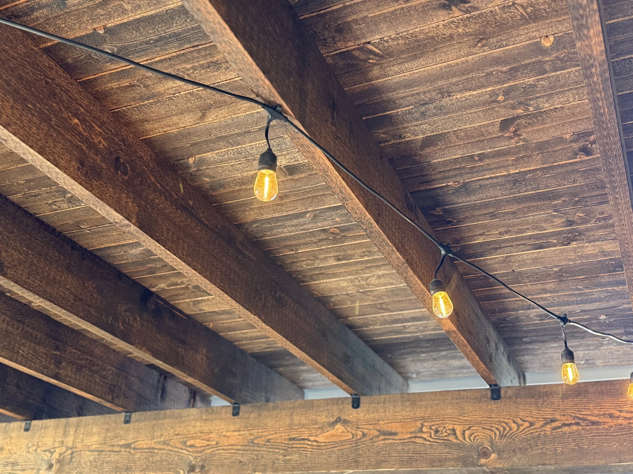 Photo Dec 19 2025, 10 13 50 AM.jpg