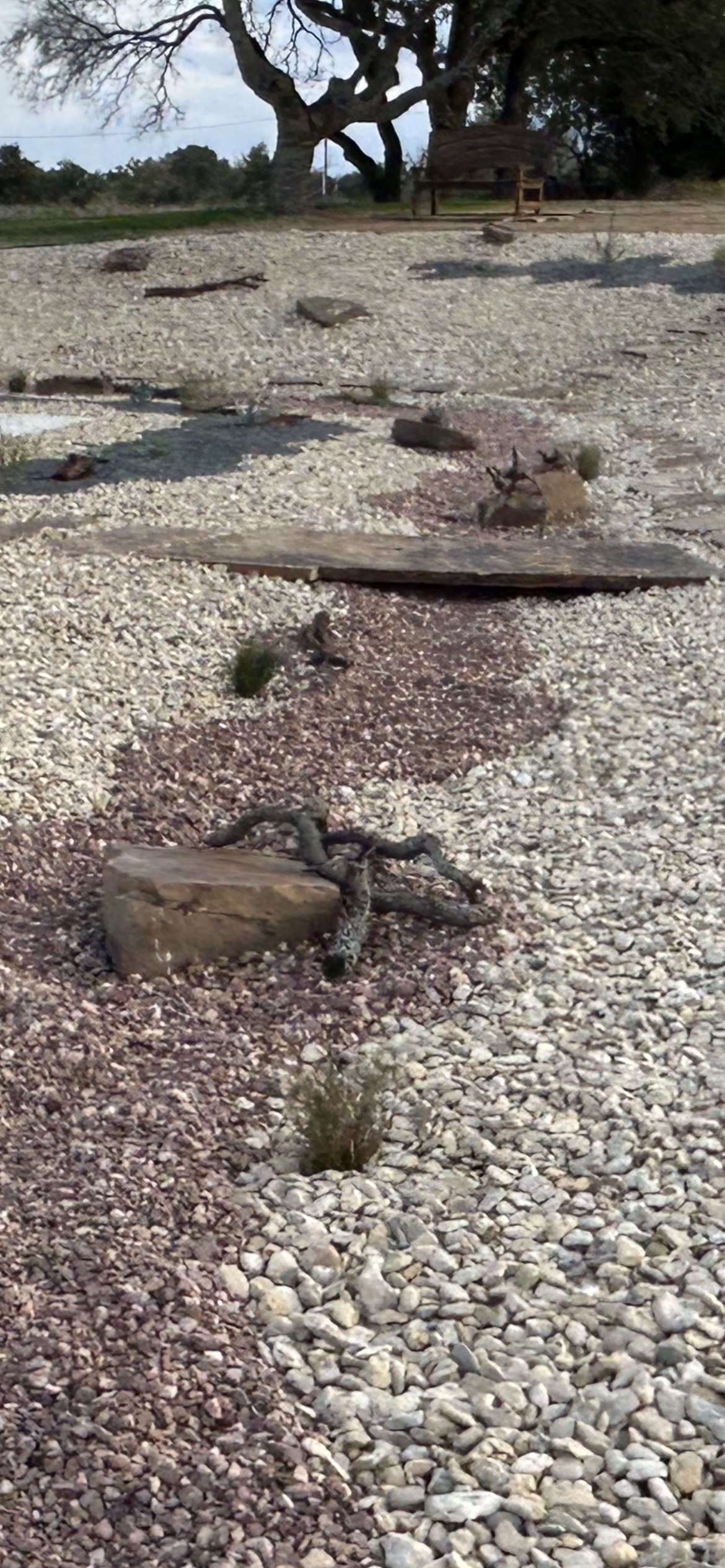 Photo Oct 31 2024, 4 47 25 PM.png