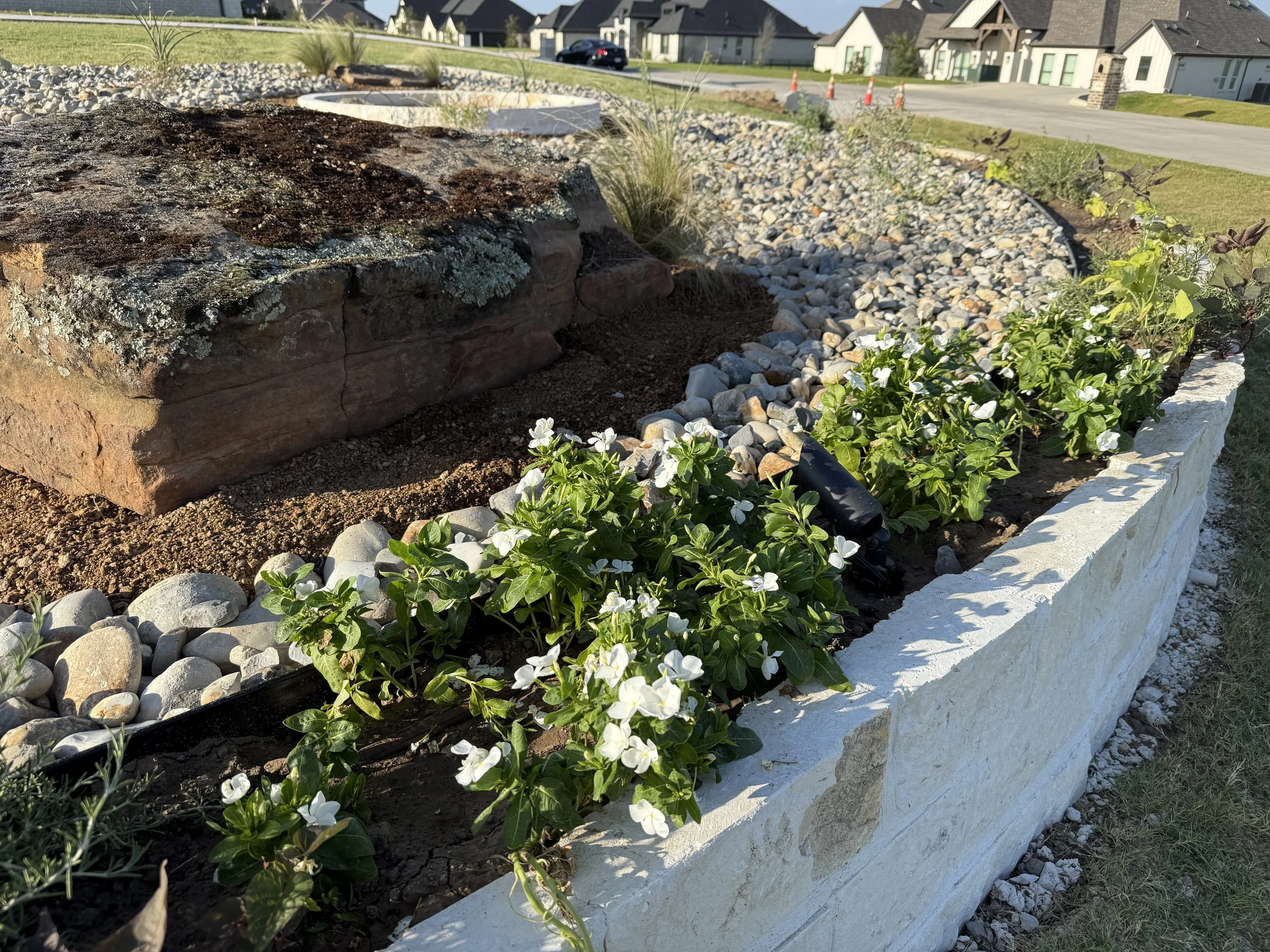A large tree surrounded by a circular border of stone blocks, with surrounding grass, smaller trees, and a parked car in the background.