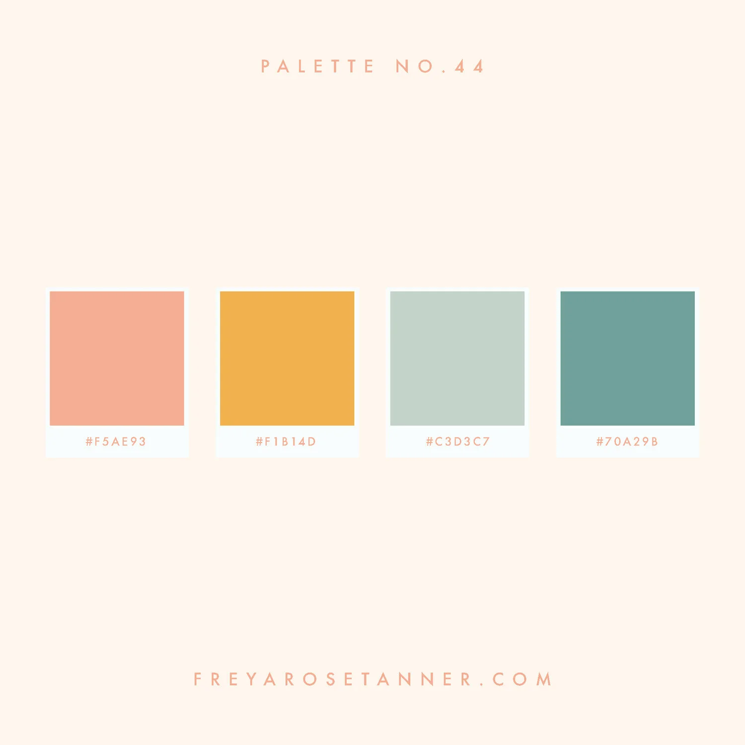 colour 1.jpg