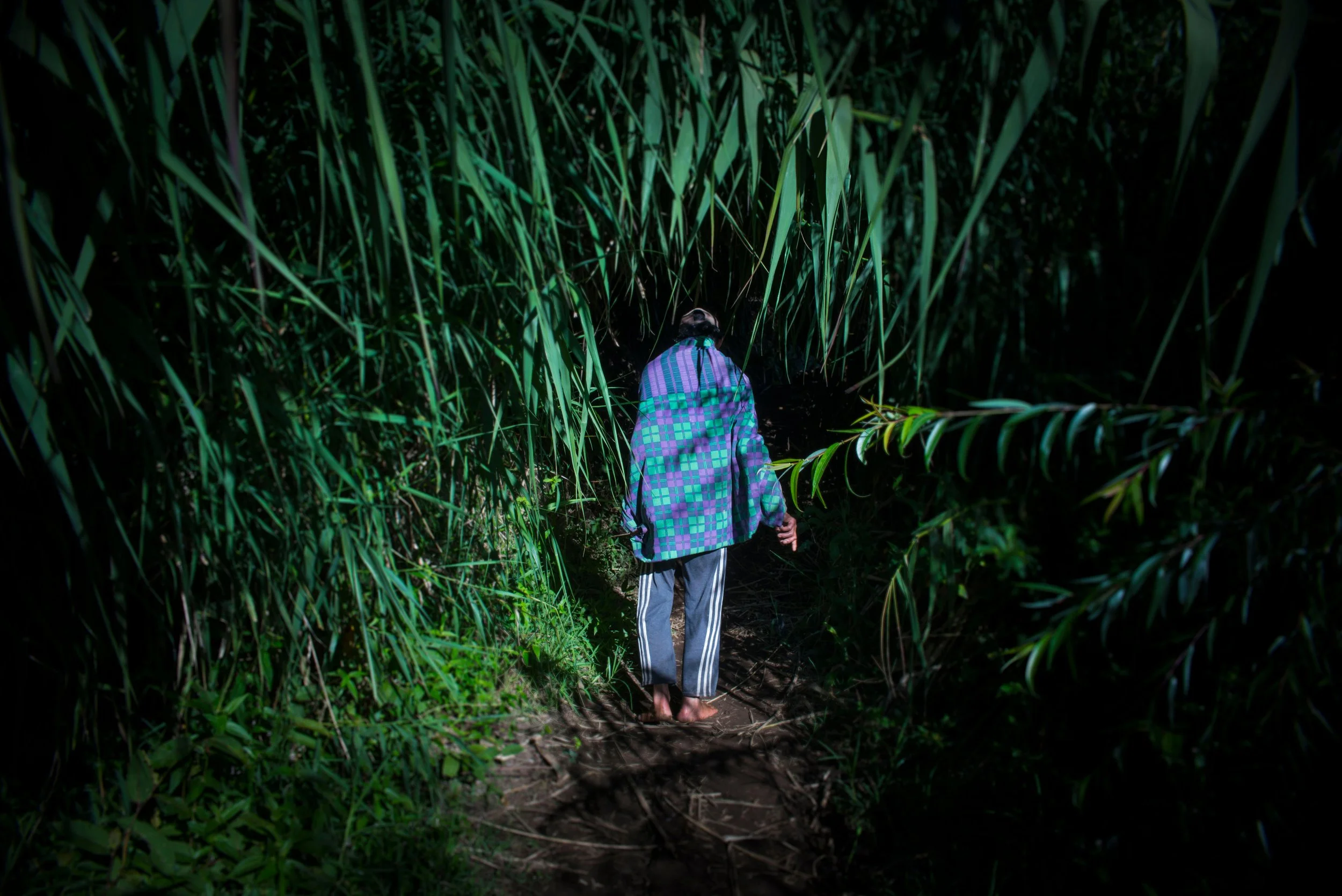 DSC_525338 copie.jpg