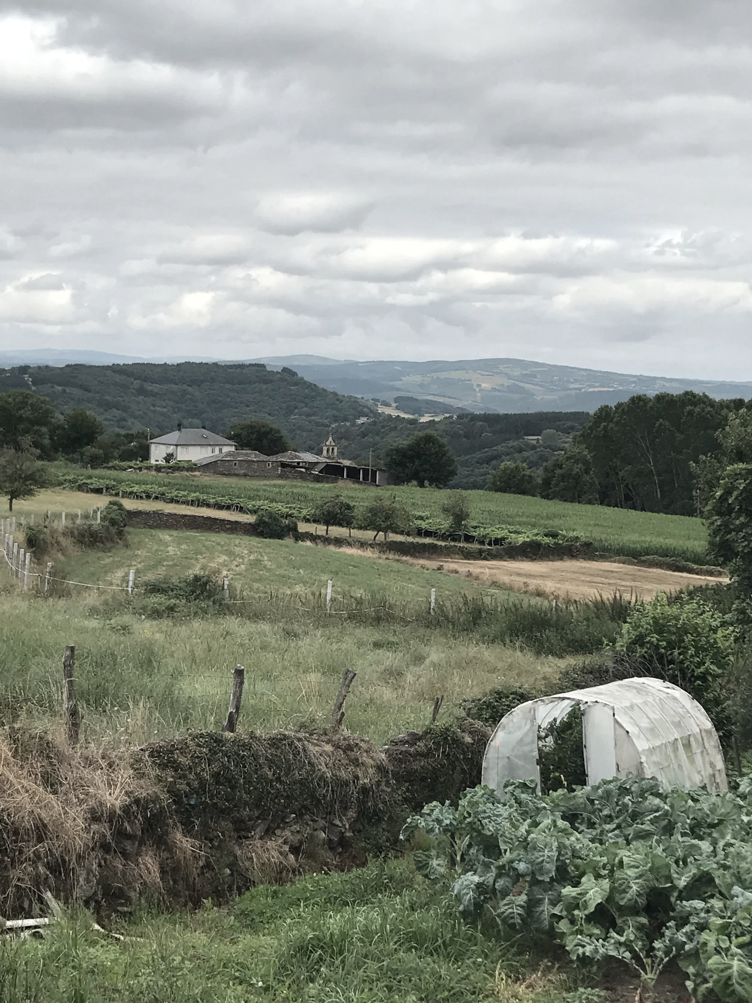 Camino de Santiago leadership walking experience with Tracey Seward