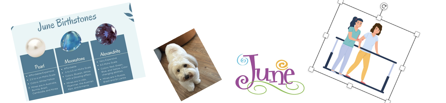 June 2026 Monthly Blog