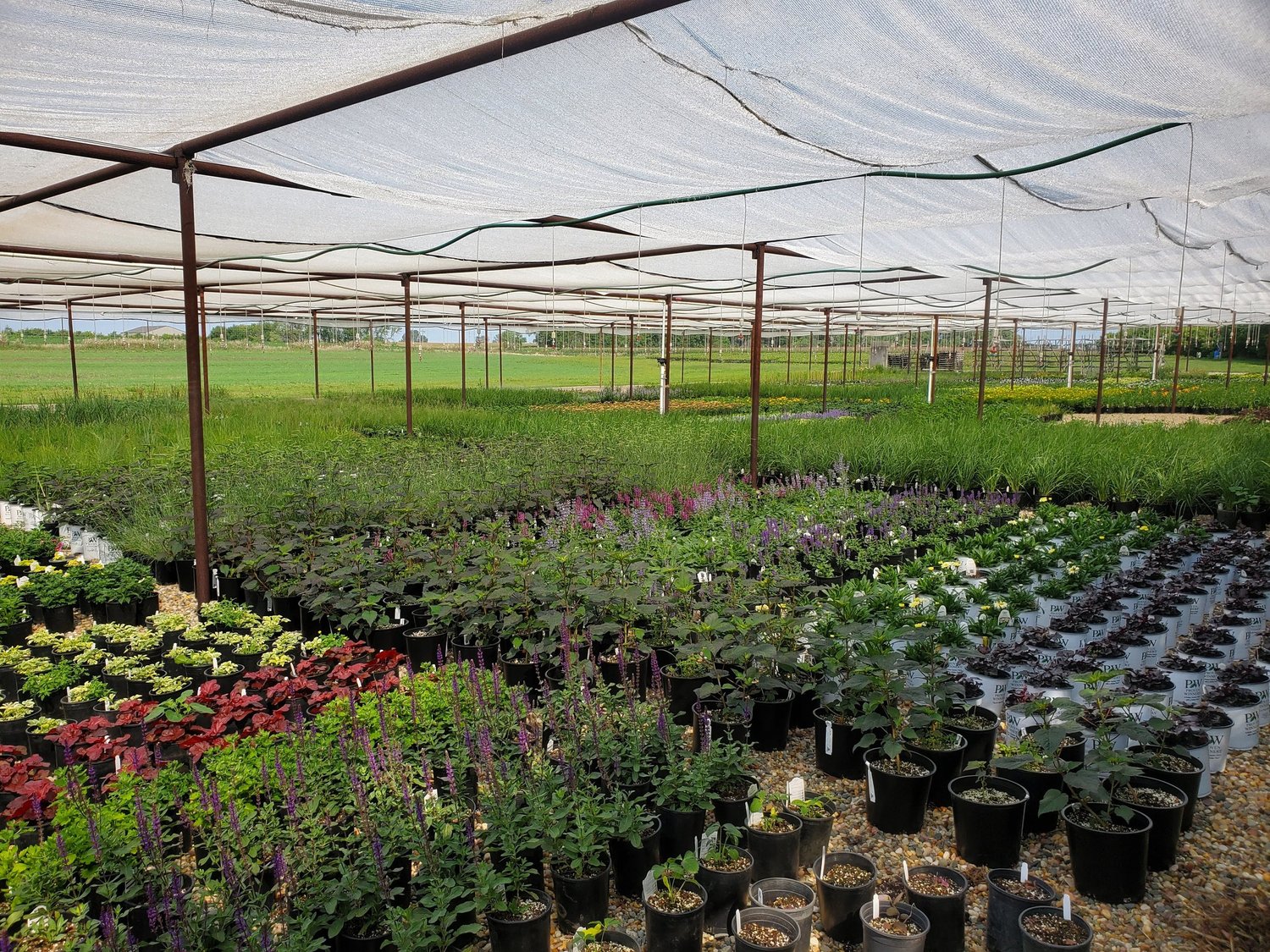 About — Nursery Wholesalers Inc.