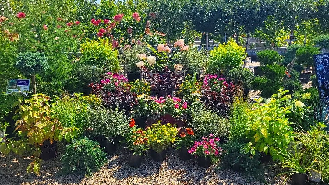 Nursery Wholesalers Inc.