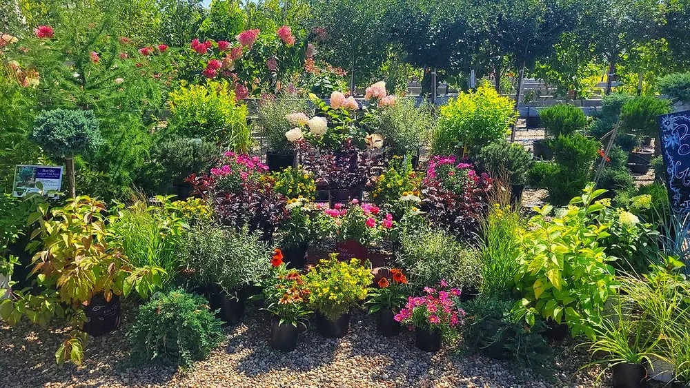 Nursery Wholesalers Inc.