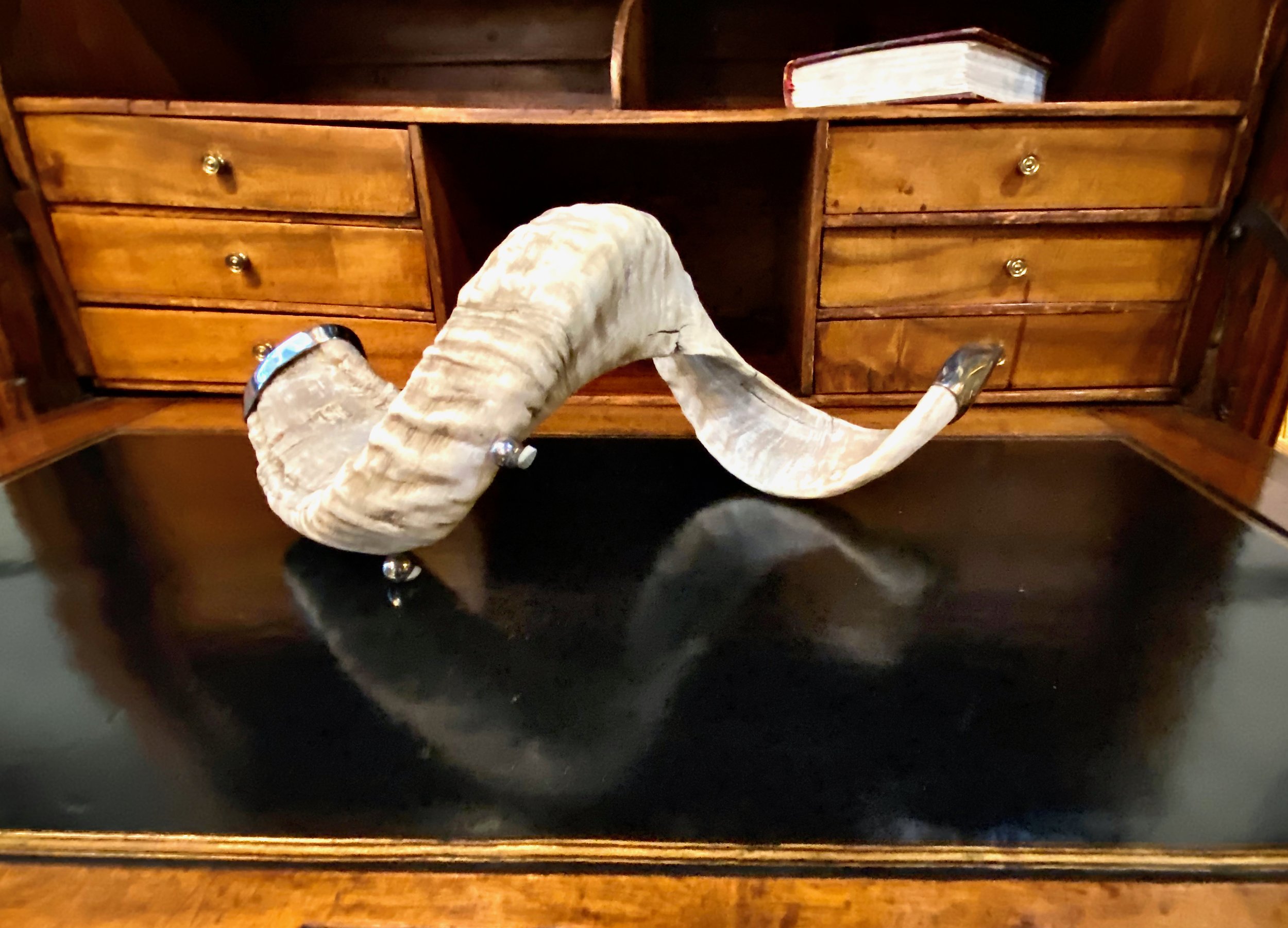 large single horn candlesticks. - 5.jpeg