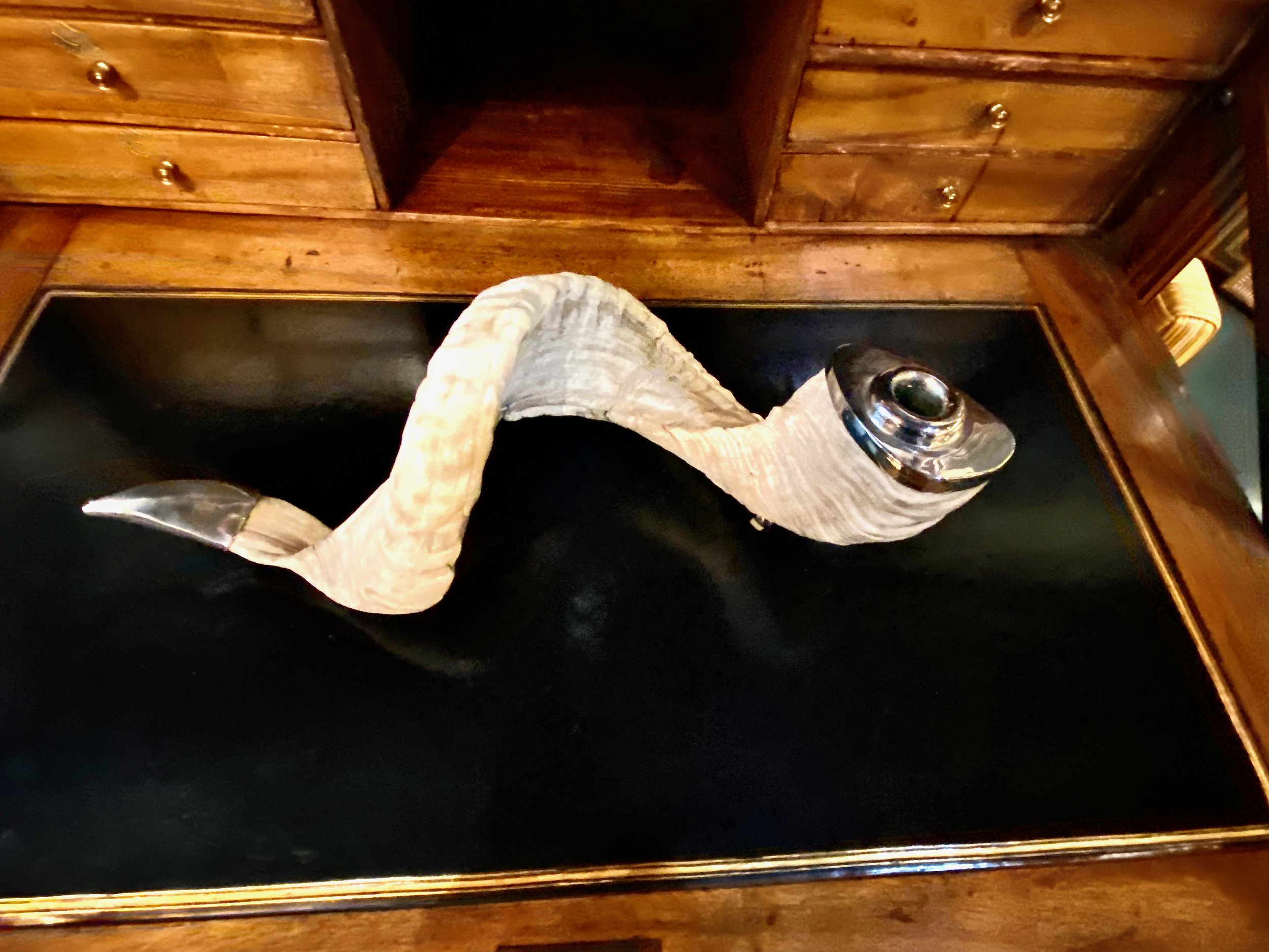 large single horn candlesticks. - 3.jpeg