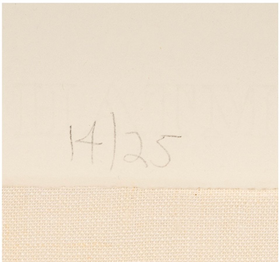 carroll dunham-I - 3.x.jpg