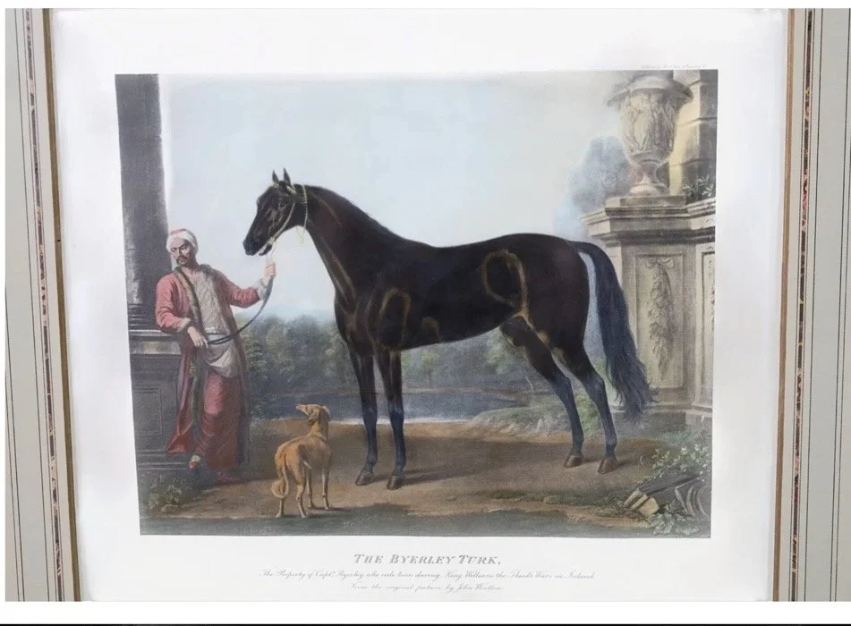 18th c. Horse engravings - 6.jpeg