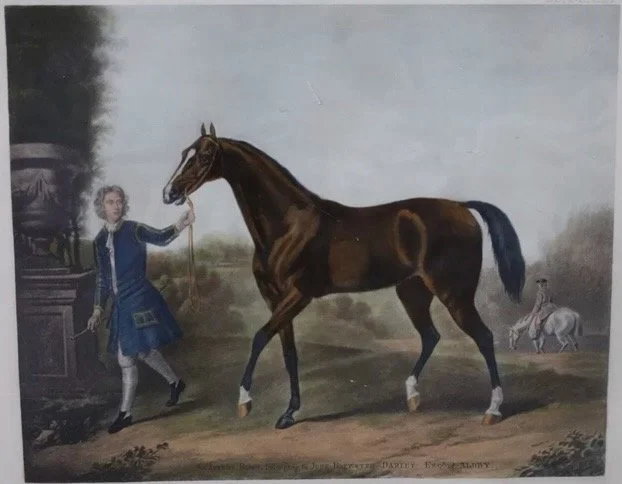 18th c. Horse engravings - 3.jpeg