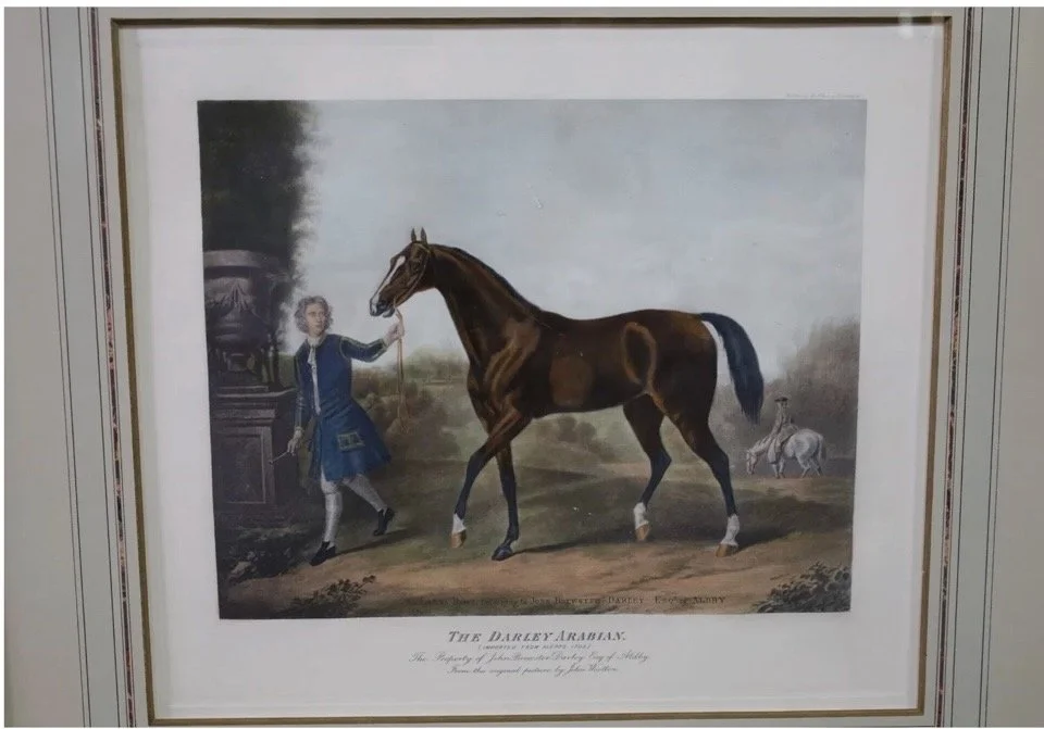18th c. Horse engravings - 5.jpeg