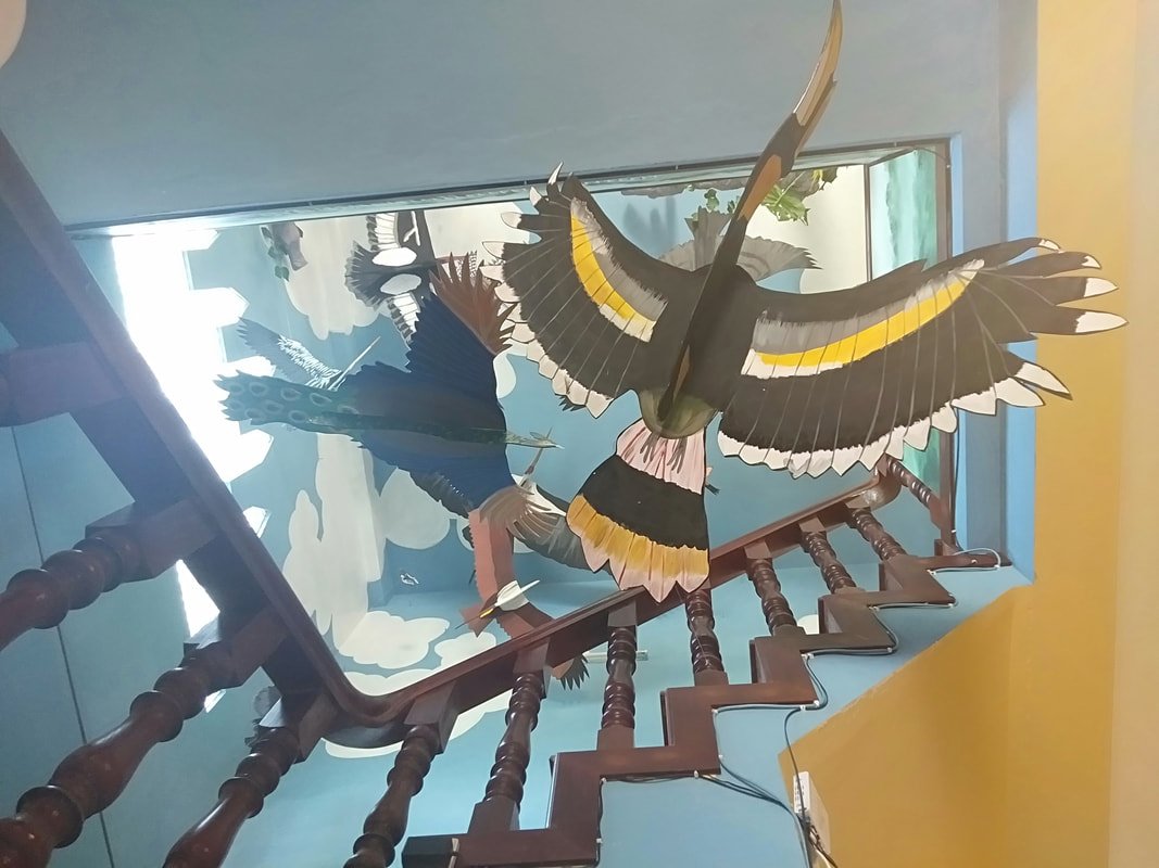 img20190121112120_orig.jpg